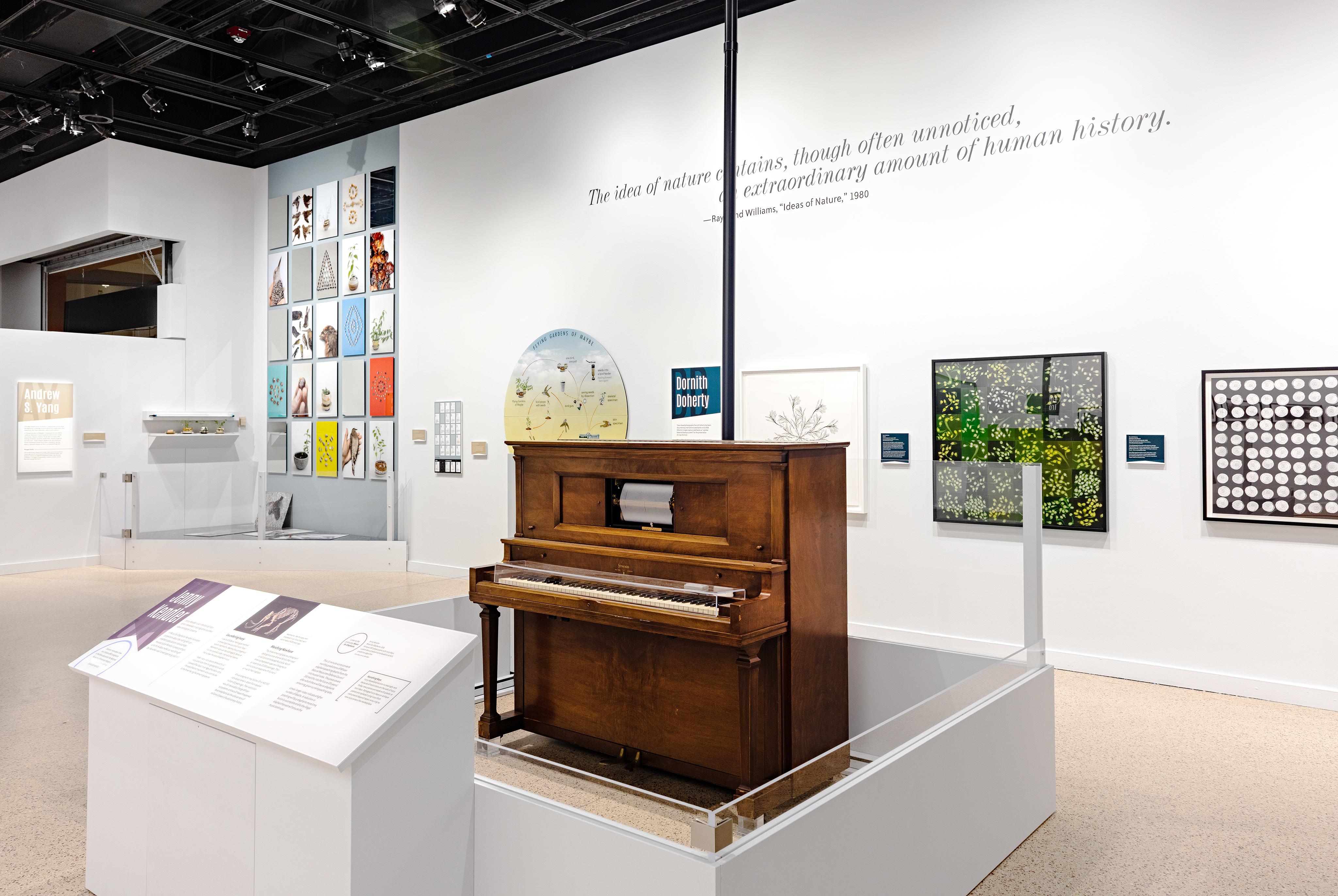 Music for Elephants at the Smithsonian National Museum of Natural History