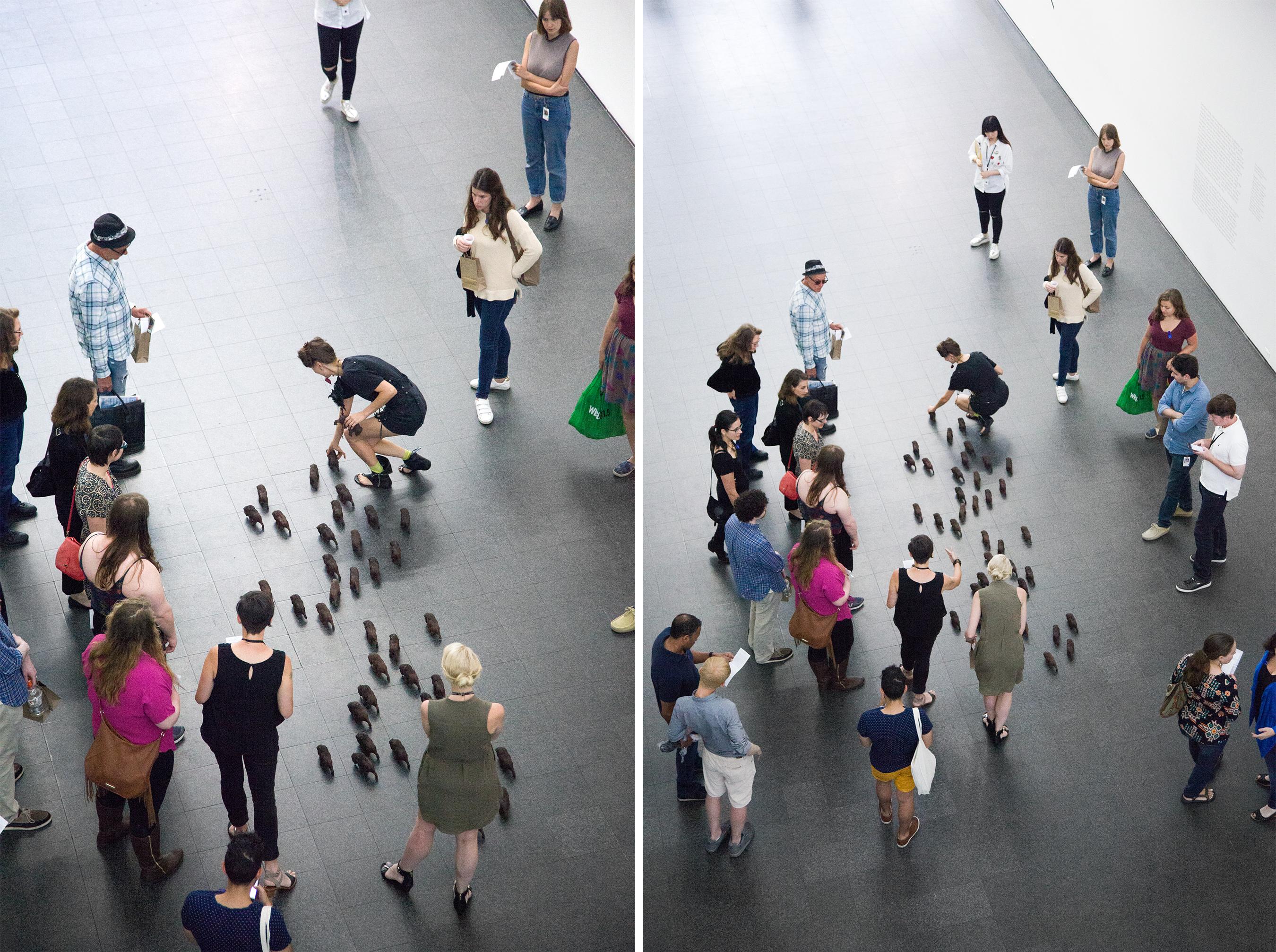 Herd Not Seen at the MCA Chicago
