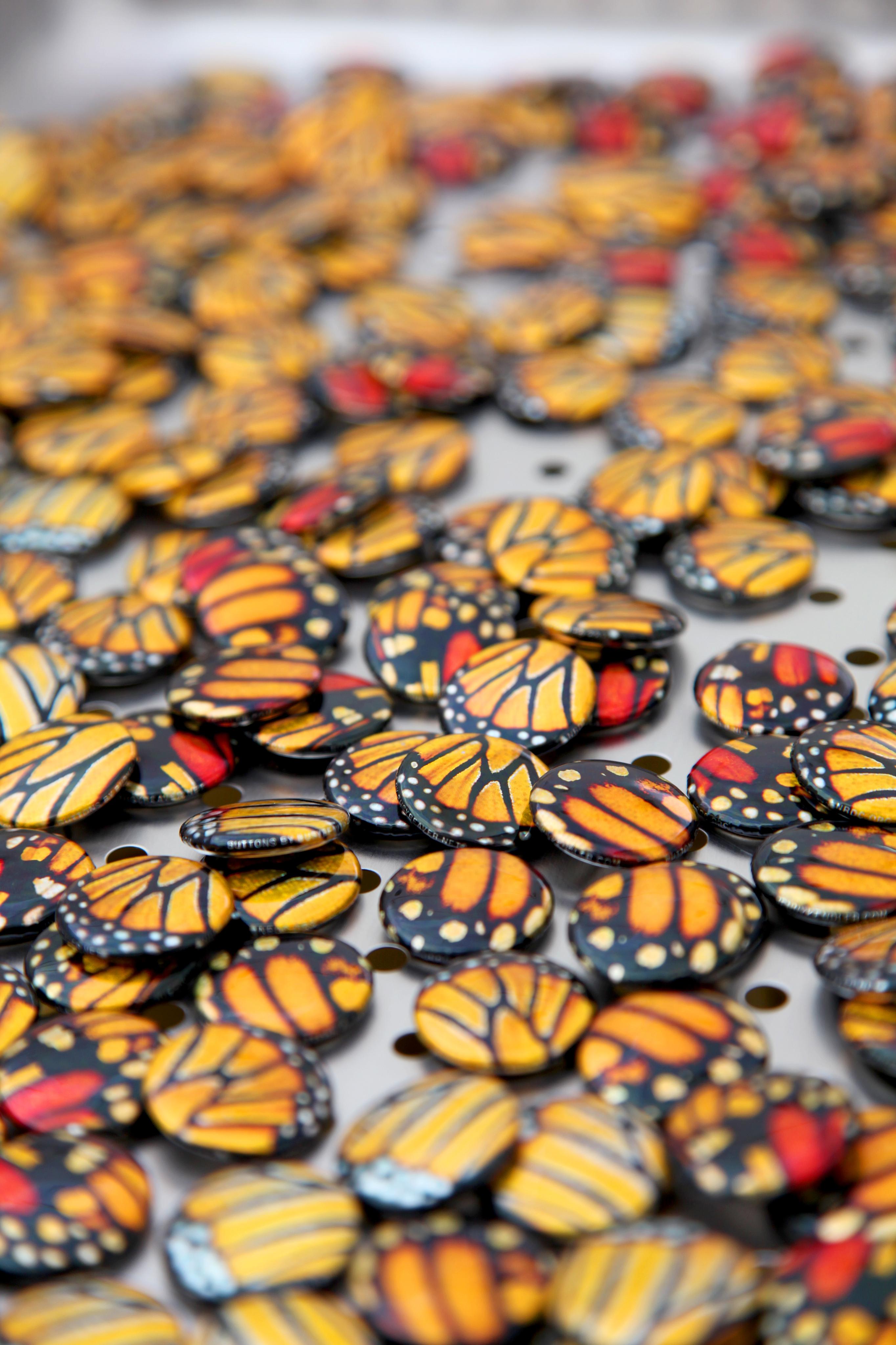 Milkweed Dispersal Balloons' Monarch-wing Buttons