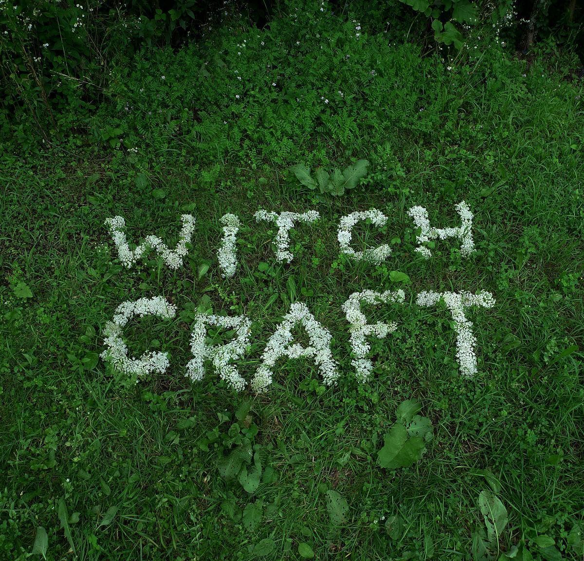 queen anne's lace flowers formed to spell the words WITCH CRAFT by artist Jenny Kendler
