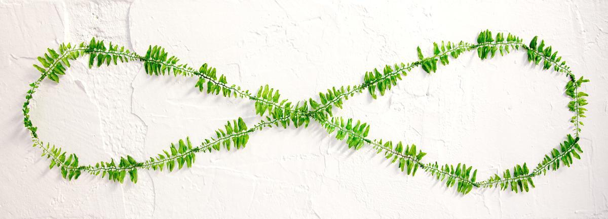 Infinite Ferns (Ferns Forever!)