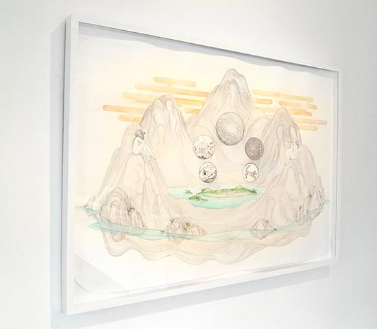 Installation view of 'Archipelago 
(Channel Islands Fox)'