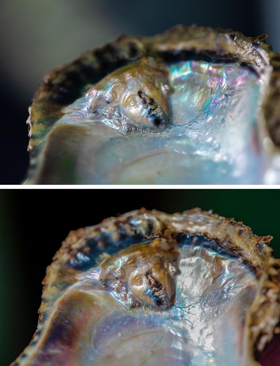 Detail from Other of Pearl (The Medusa Rondanini II)