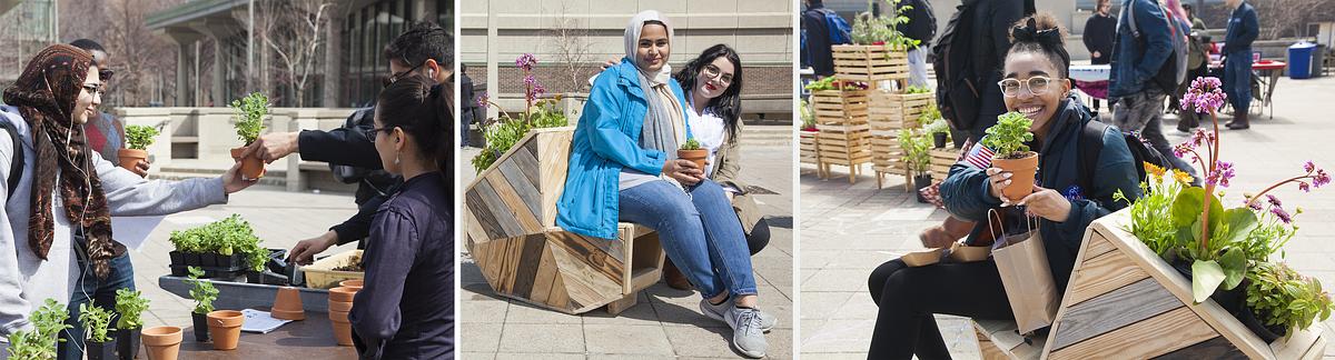 Garden for a Changing Climate at UIC