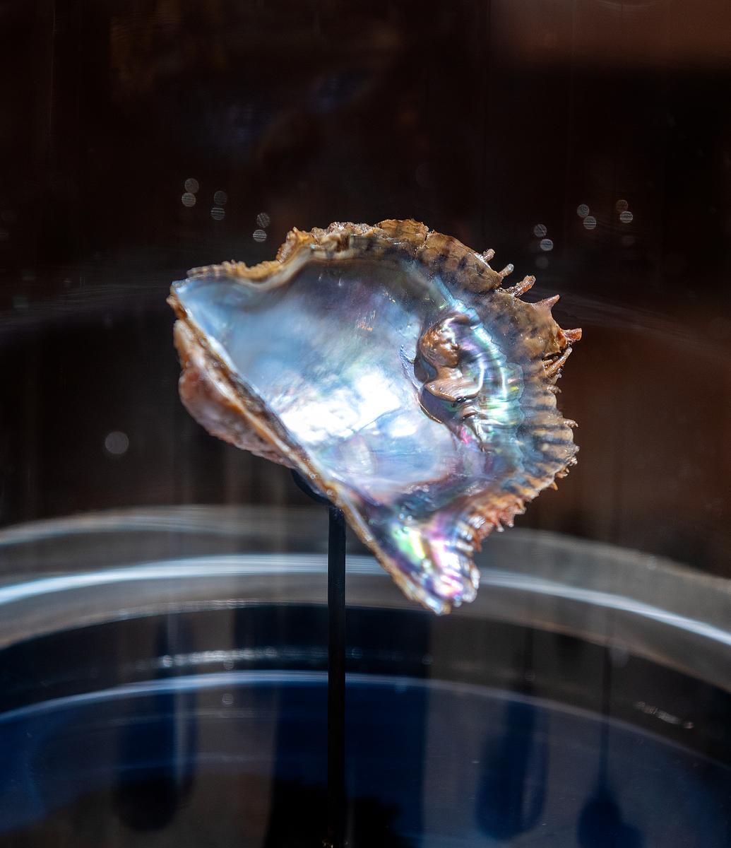Detail from Other of Pearl (The Hero Meleager)