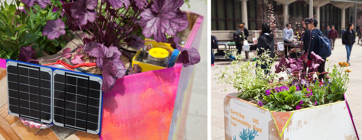 Garden for a Changing Climate at UIC