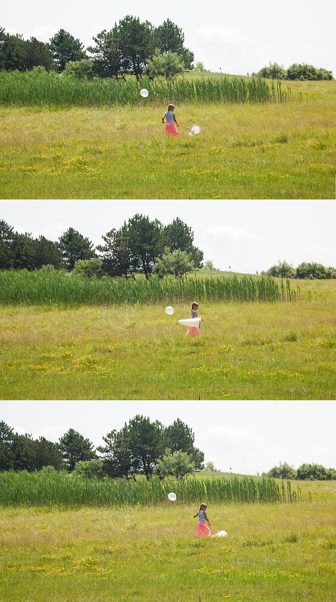 Milkweed Dispersal Balloons at the Tifft Nature Preserve