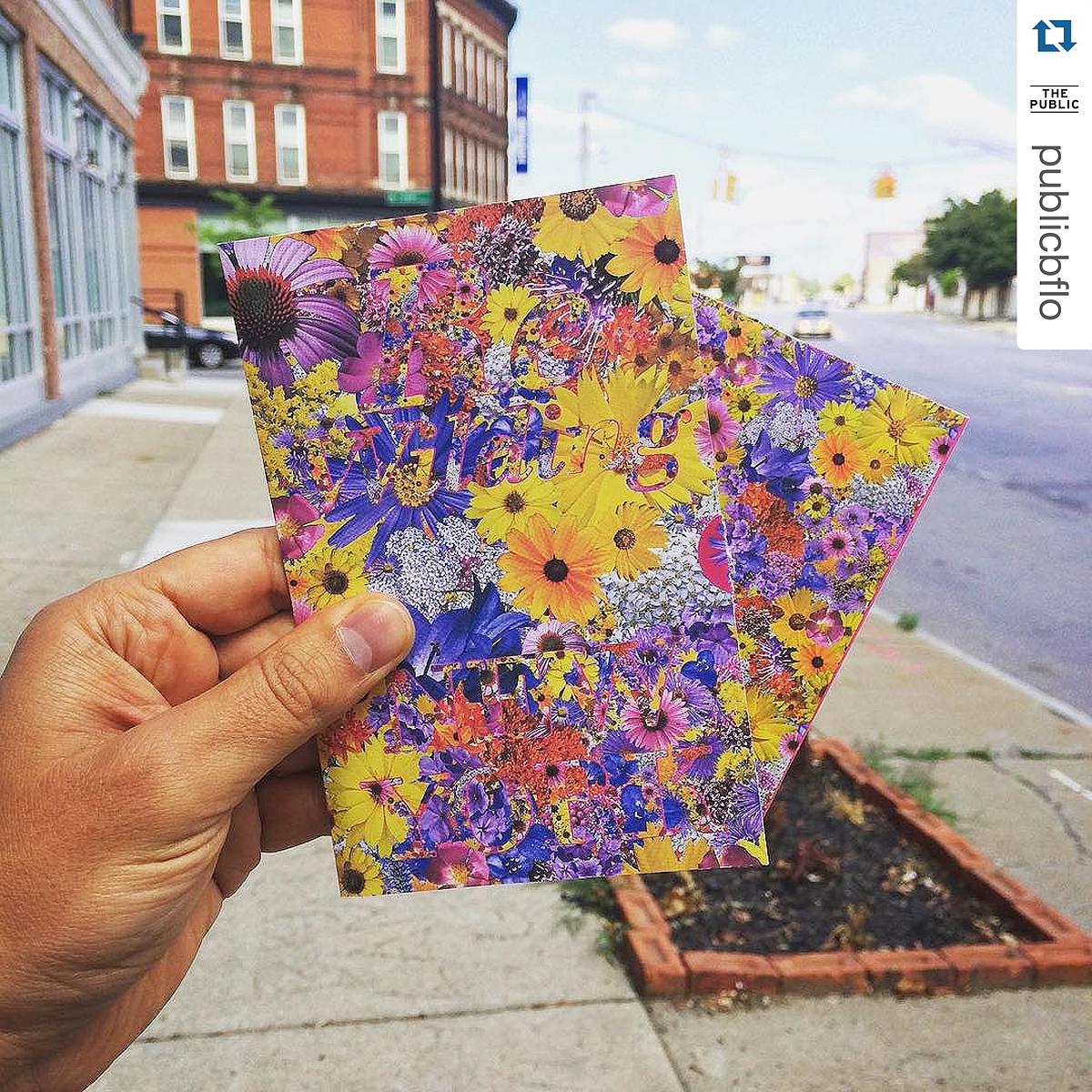 ReWilding New York: Community Seed Stations