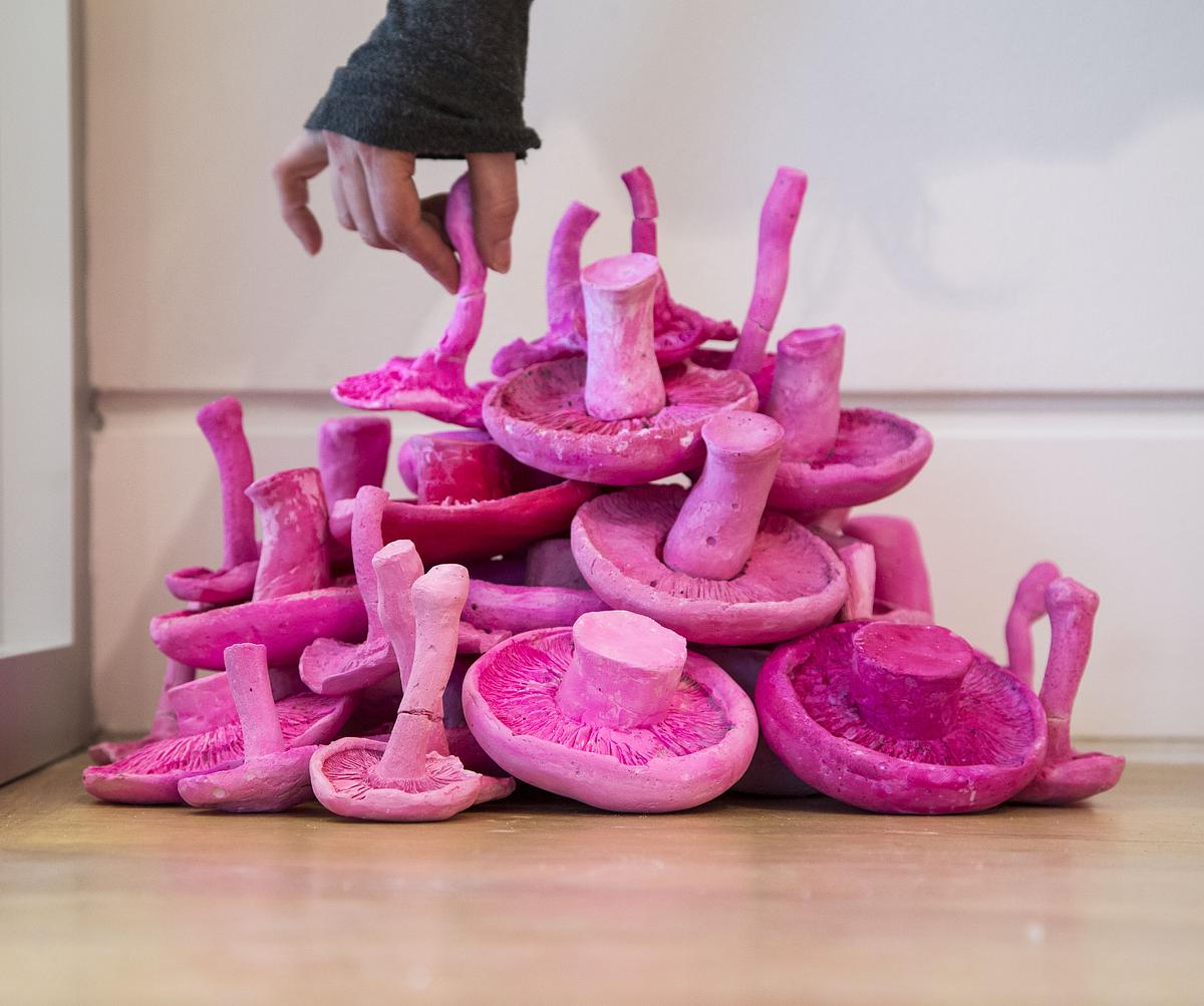 The artist installing 'Fungi for Fungi' at The DePaul Art Museum The artist installing 'Fungi for Fungi' at The DePaul Art Museum