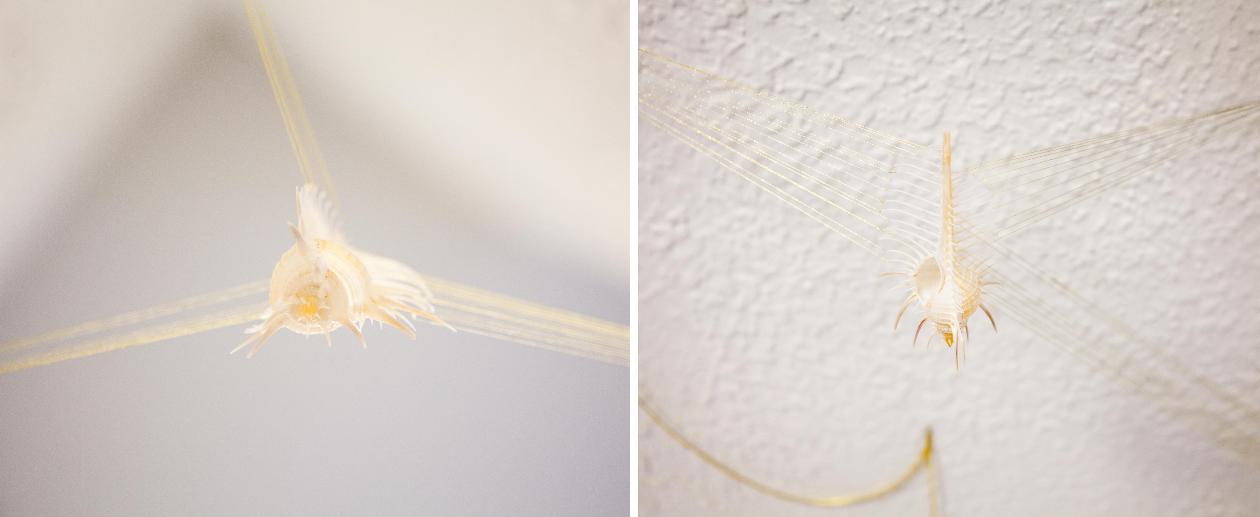 Lest We Break These Fragile Connections II