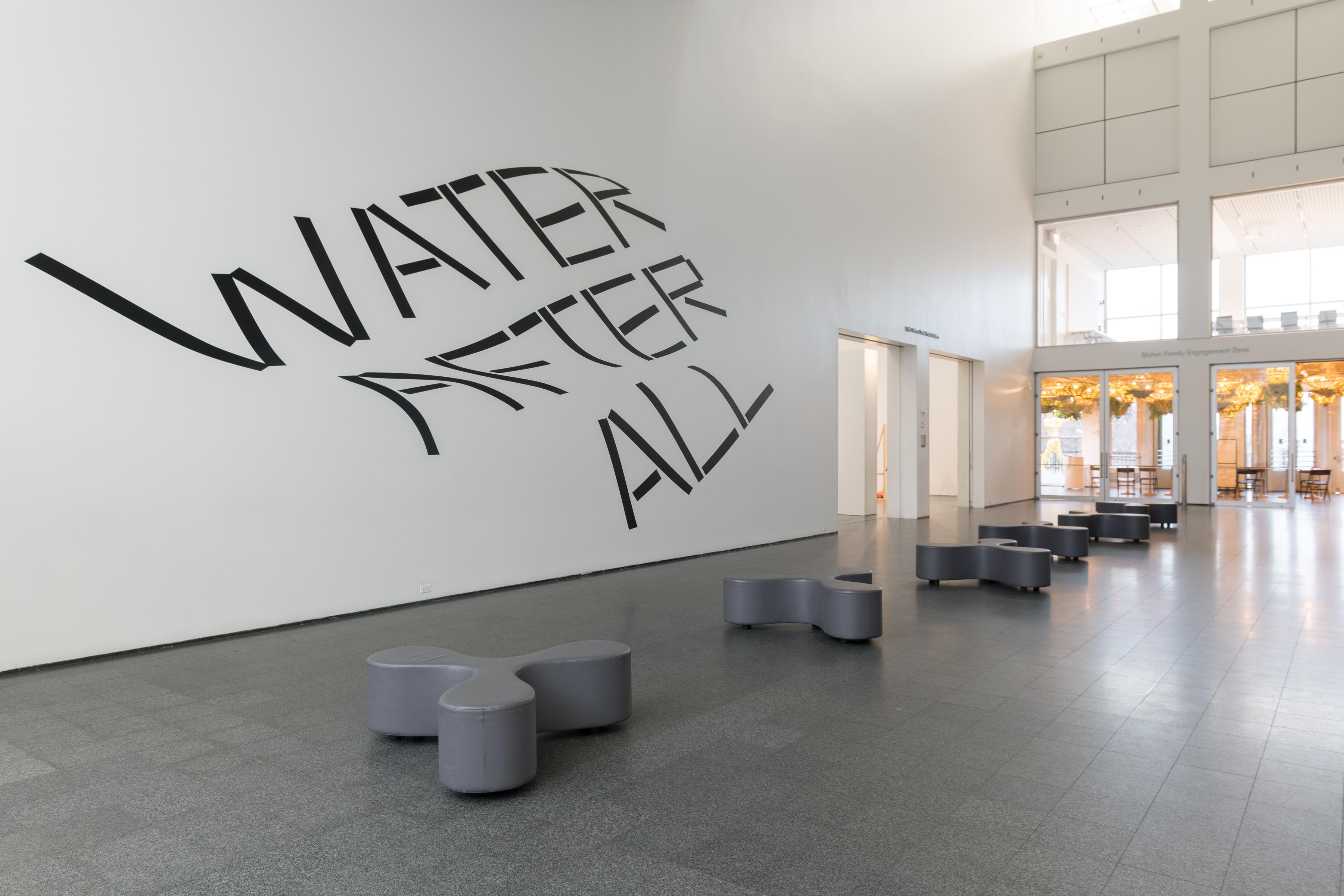 Water After All at the MCA Chicago