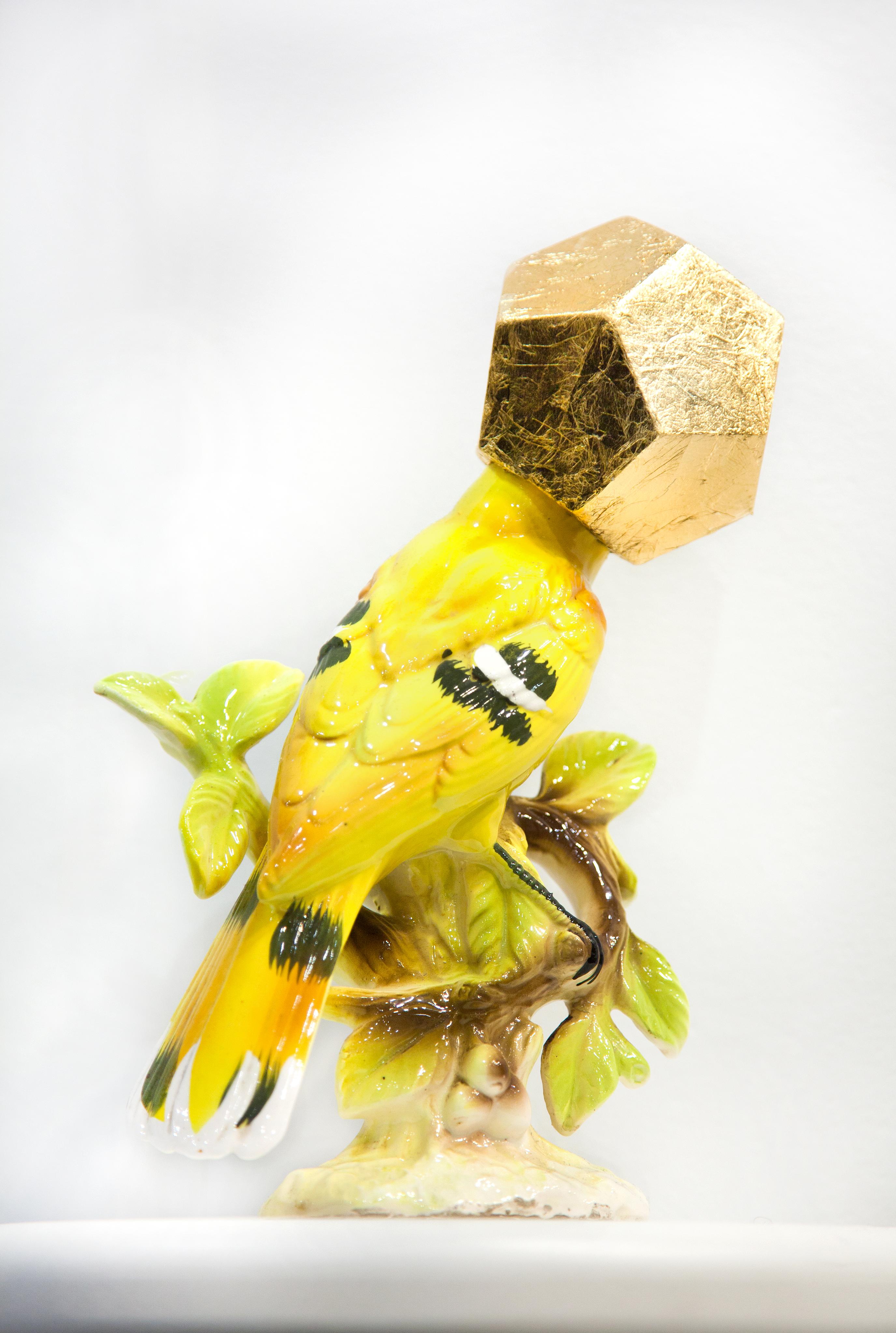 Camouflage XXVI (Poacher Protection for Threatened Chinese Black-naped Oriole)