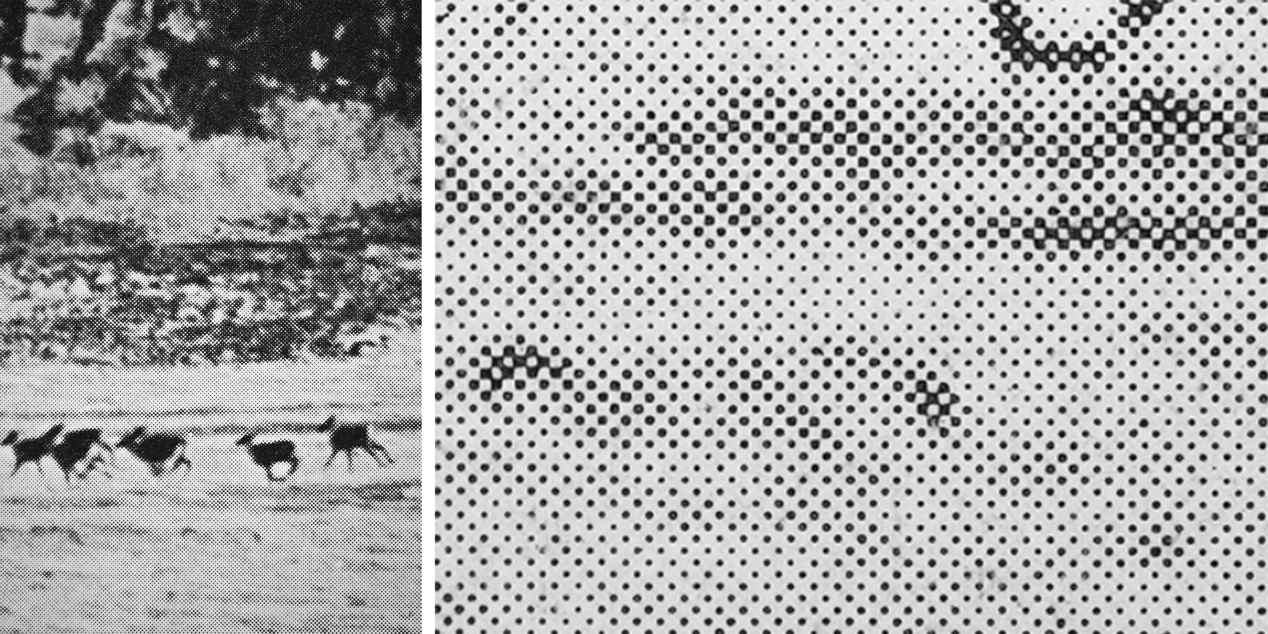 Caribou Come Like Water - and Like Wind They Go (Aug 1931, After Mrs. A. B. Thornthwaite)