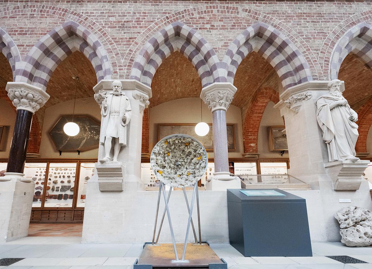 Tell it to the Birds at the Oxford University Museum of Natural History