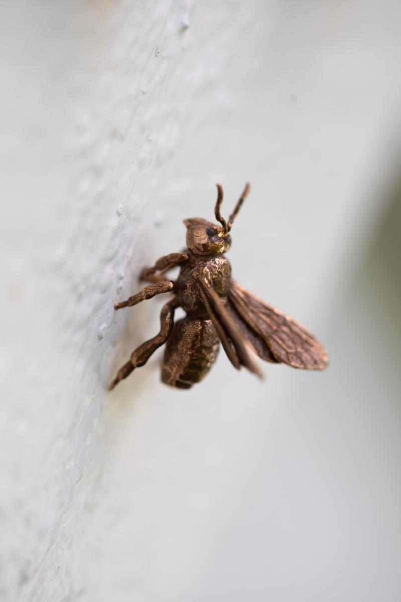The Keeping of Bees (A Distributed Monument)