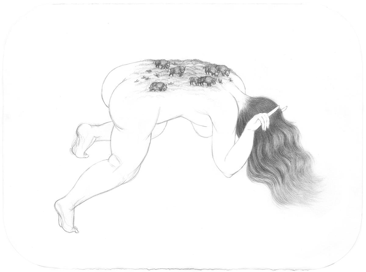 Drawing of American Bison or Buffalo on a woman's back as if it was the Great Plains by Jenny Kendler