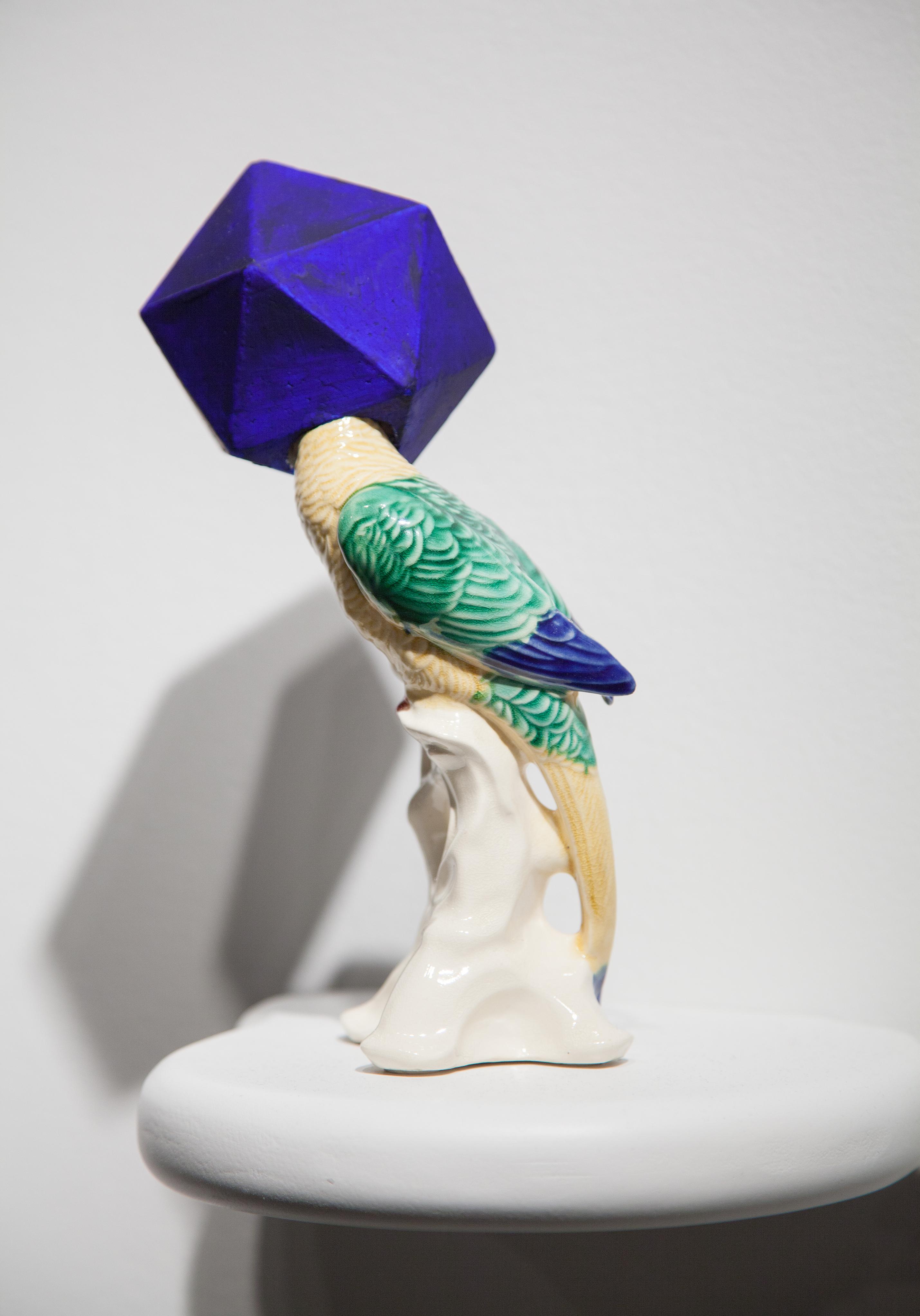 Camouflage XXIV (Last Ditch Defense for Possibly Extinct Yellow-eared Parrot, in Yves Klein Blue)