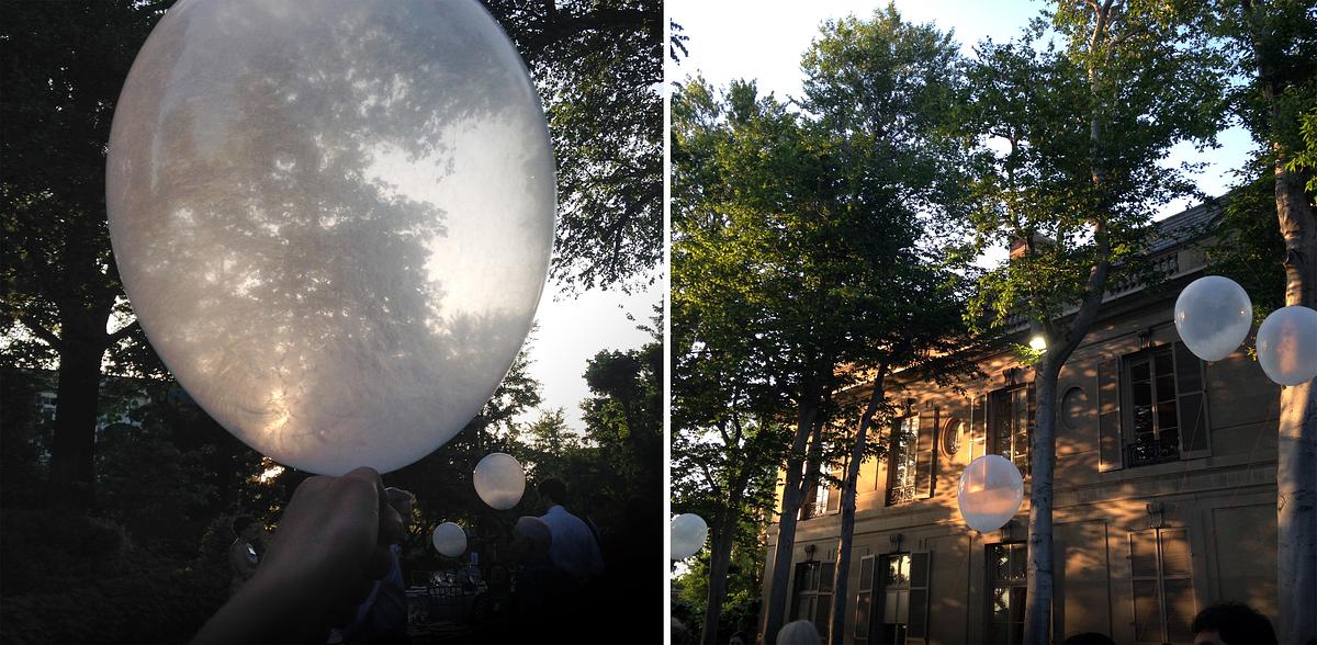 Milkweed Dispersal Balloons in Washington, DC