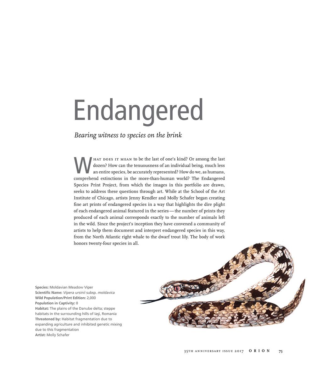 ESPP featured in the 35th Anniversary edition of Orion Magazine  Page 1