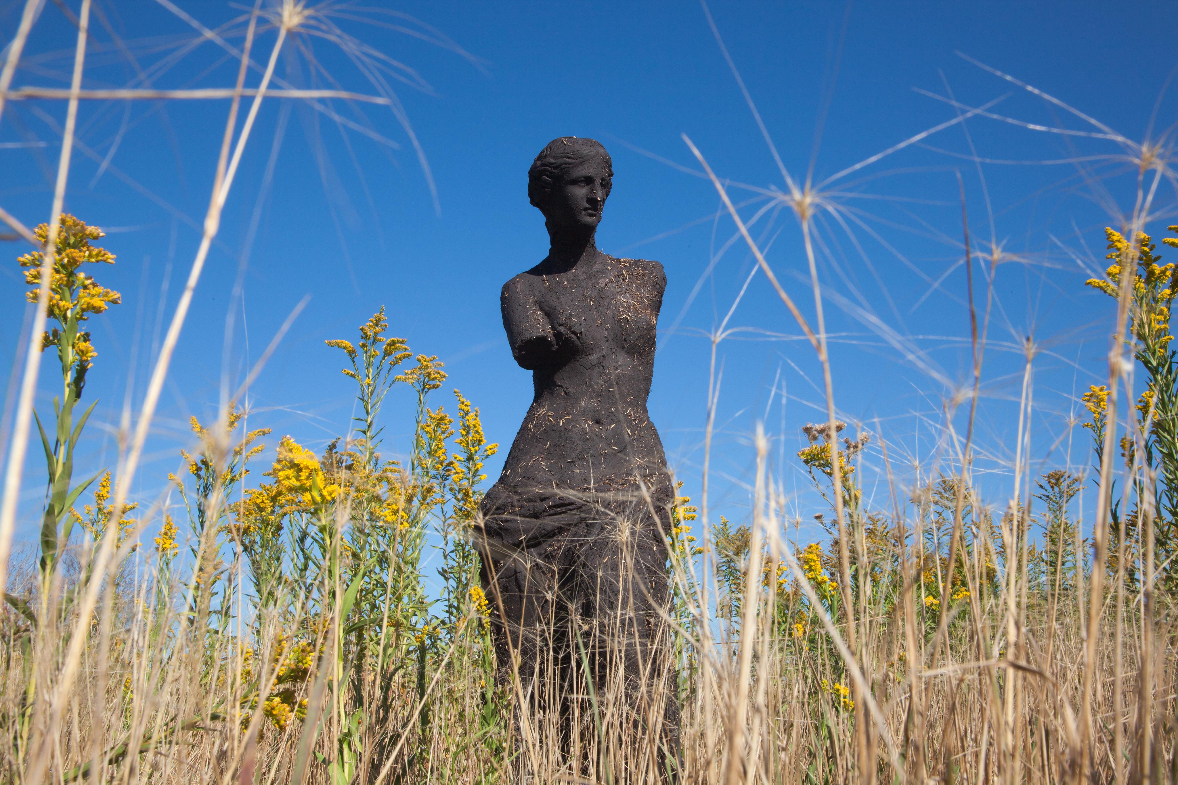 Sculpture--->Garden (Venus XII)