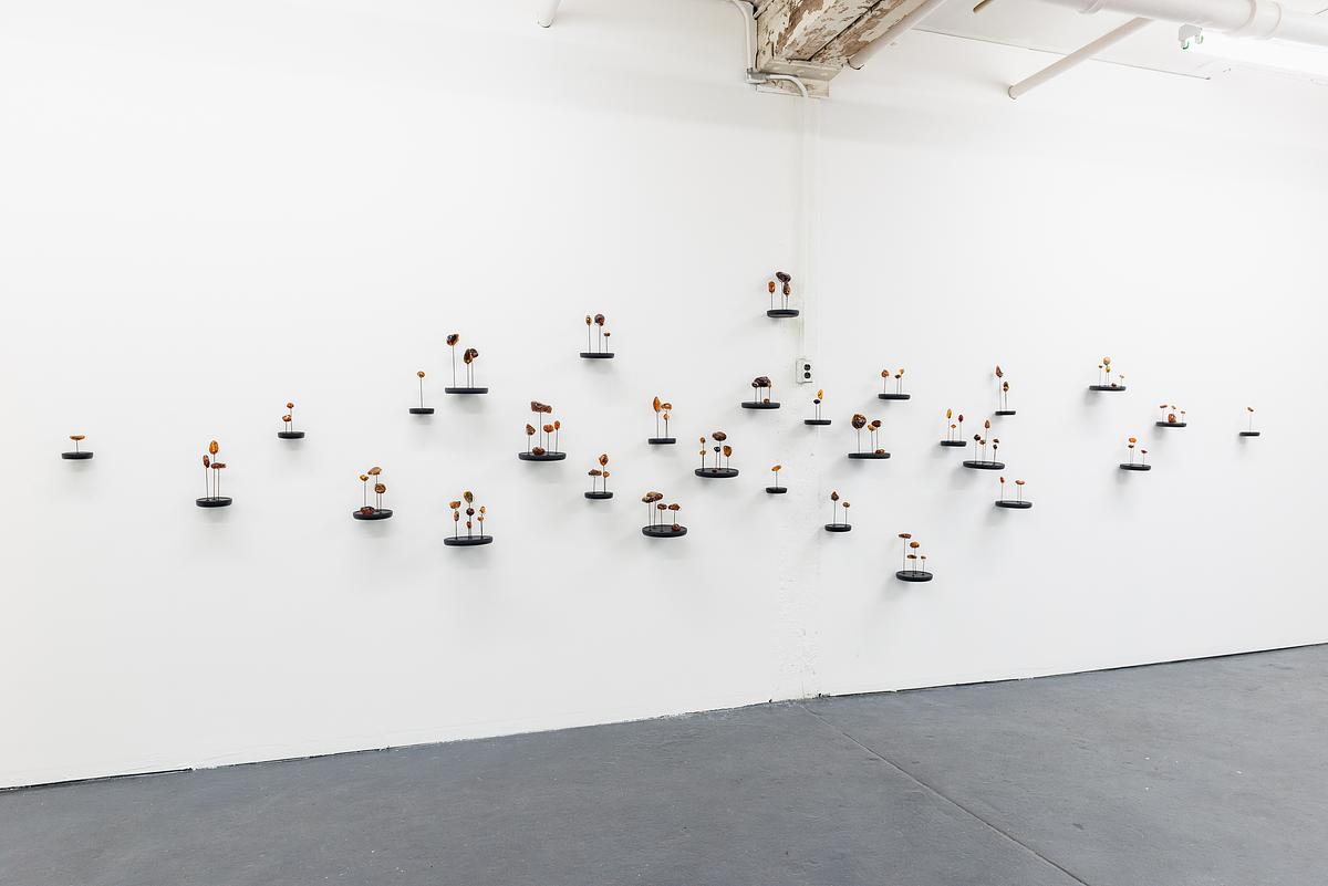 %Image Credit: Ryan Edmund for Goldfinch%