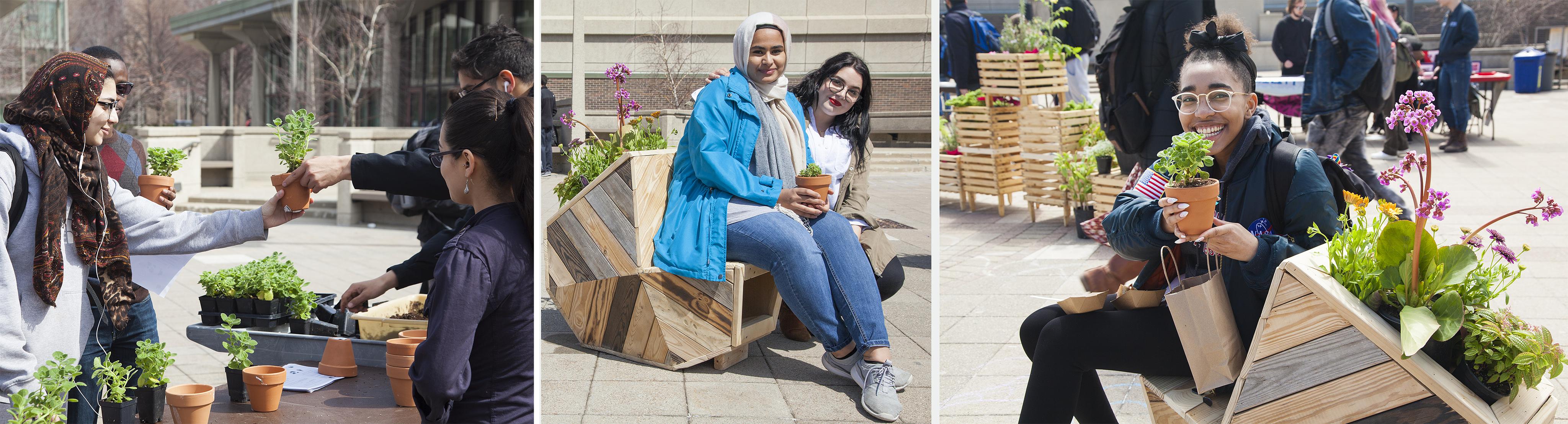 Garden for a Changing Climate at UIC