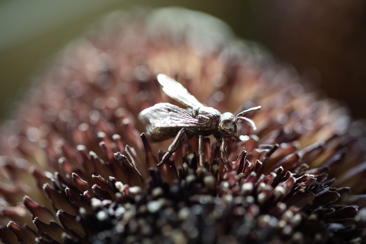 The Keeping of Bees