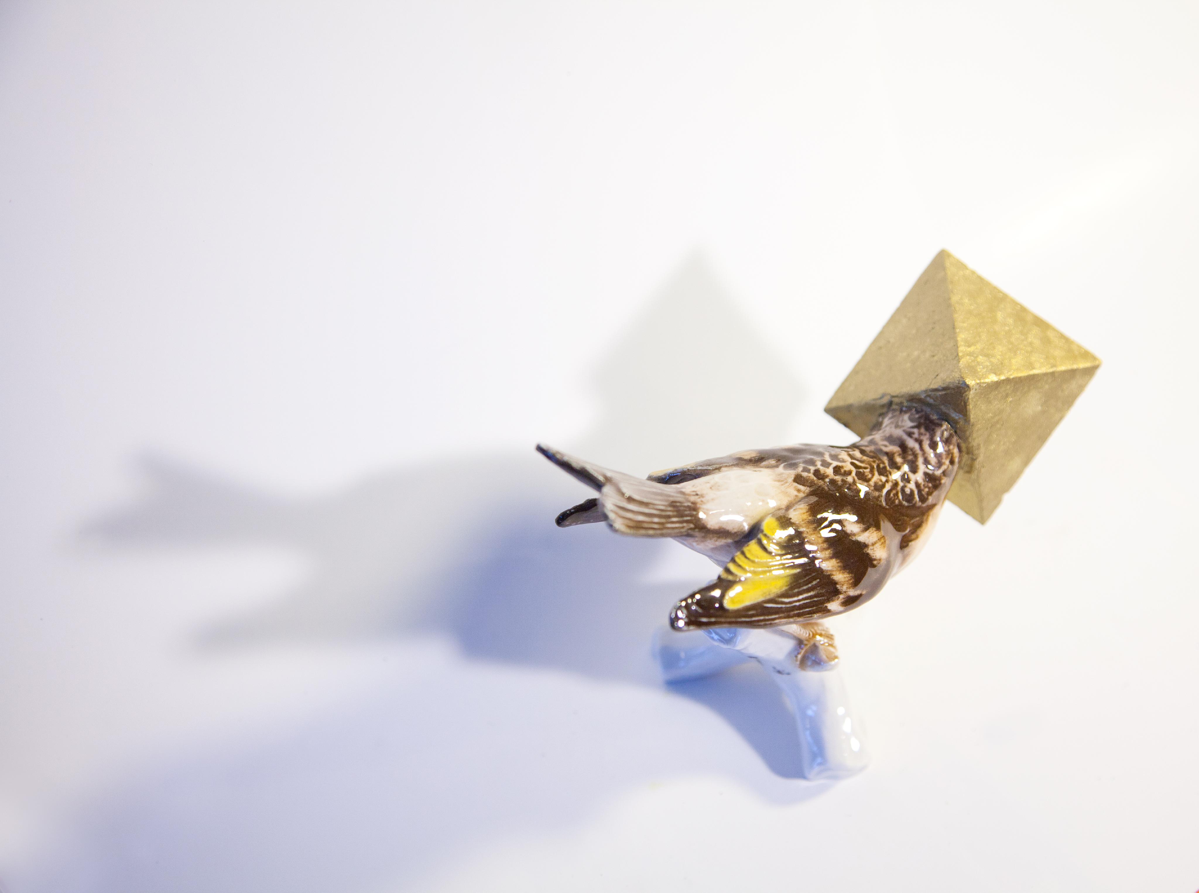 Camouflage XXV (Parasitic Fly Shield for Endangered Galápagos Finch)