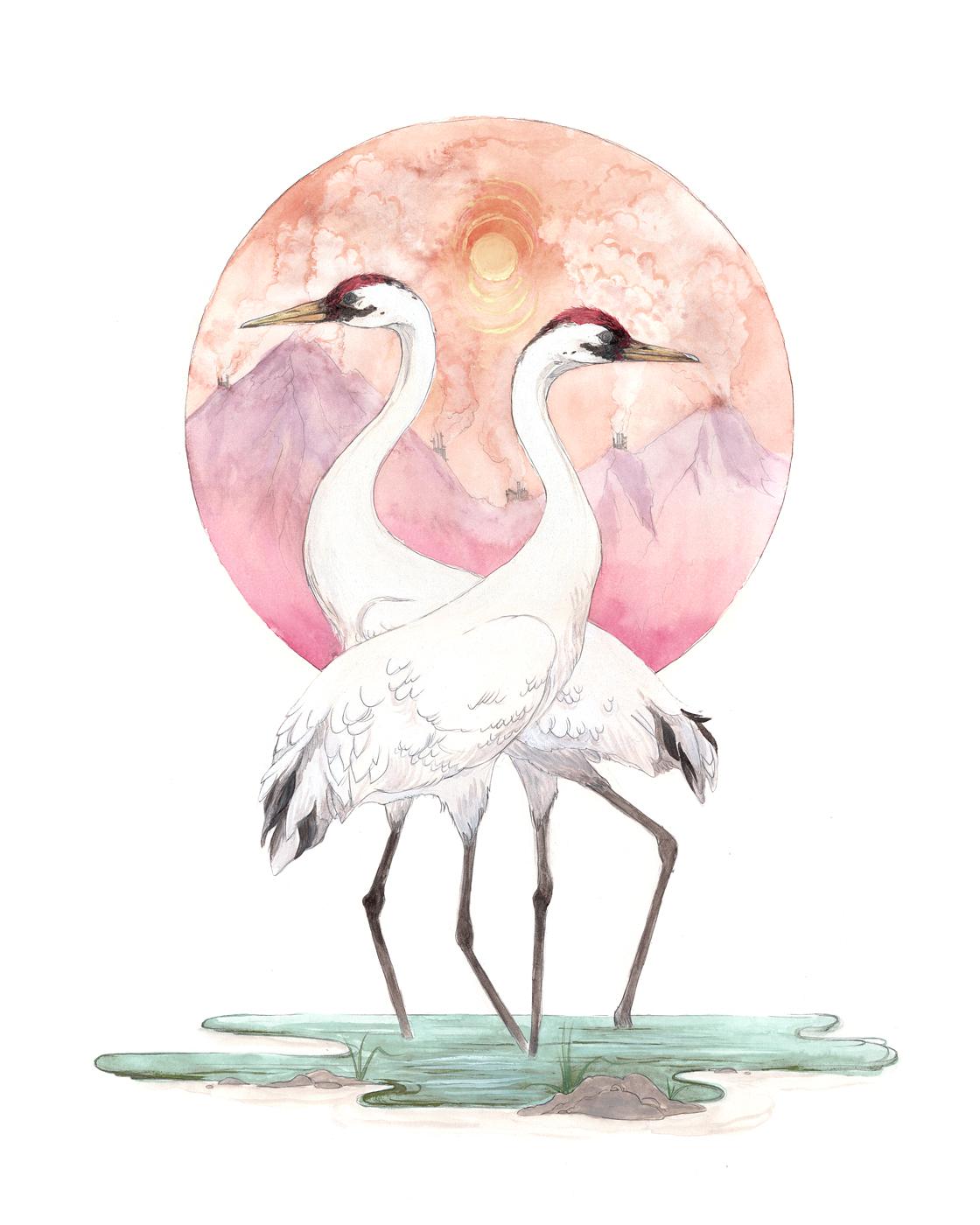 Whooping Crane print by Jenny Kendler
