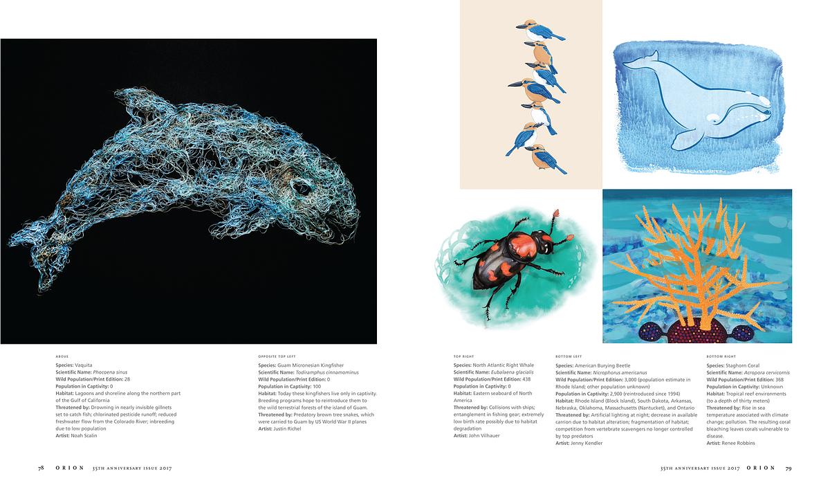 ESPP featured in the 35th Anniversary edition of Orion Magazine  Page 4 & 5