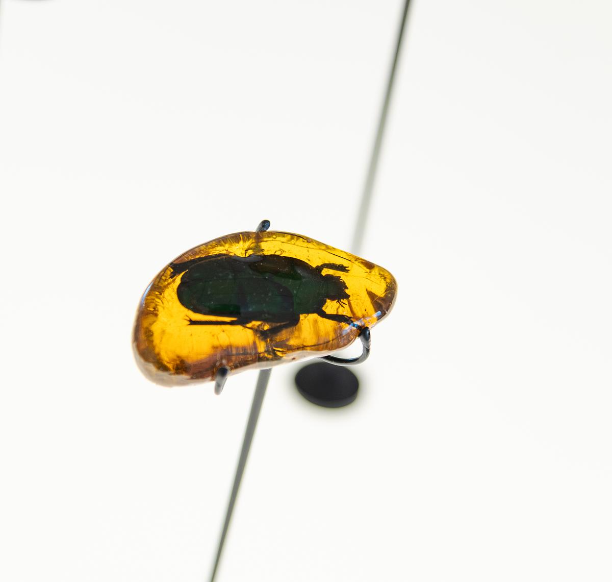 Detail from Amber Archive as part of Hi-Vis Detail from Amber Archive as part of Hi-Vis