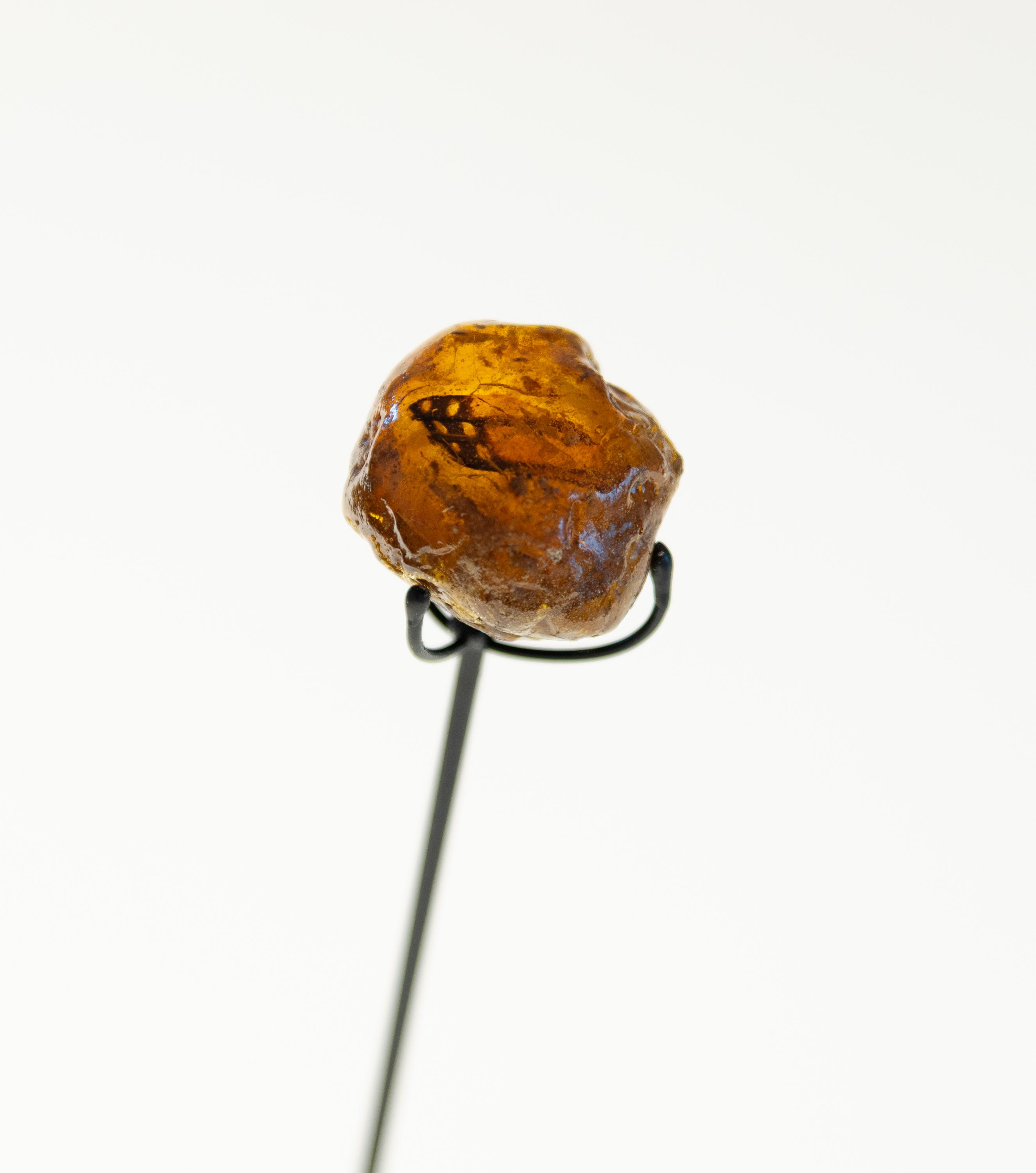 Detail from Amber Archive as part of Hi-Vis