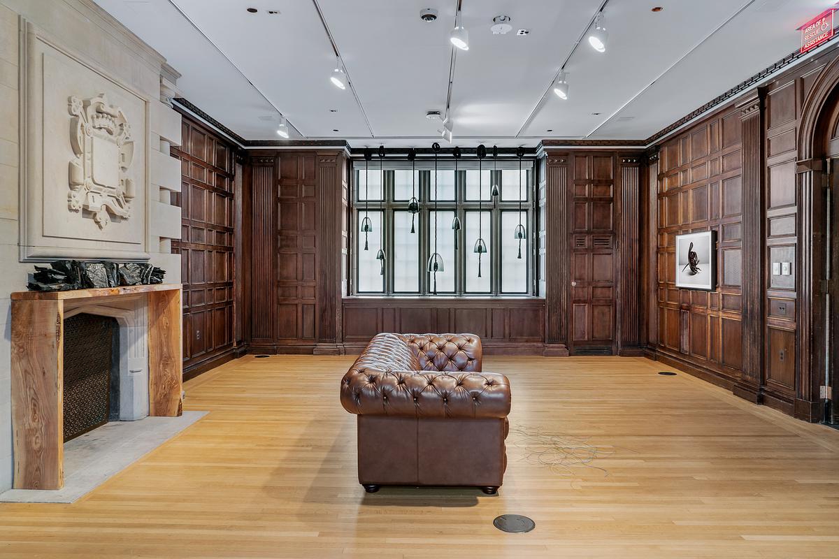 The Chicago Cli-Fi Library at the Neubauer Collegium