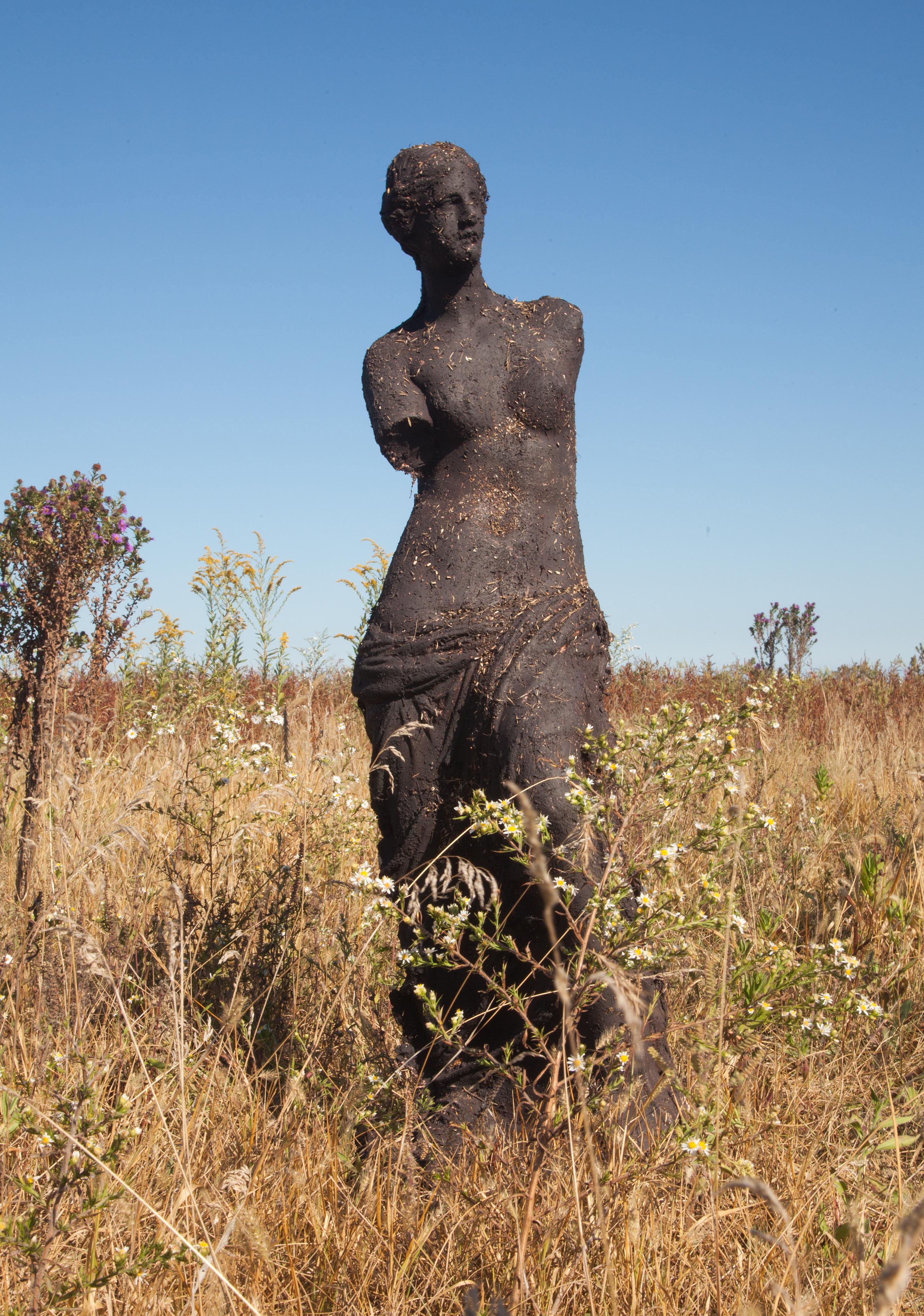 Sculpture--->Garden (Venus XI)