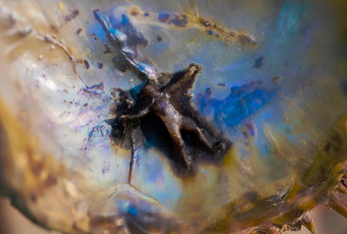 Detail from Other of Pearl (The Artemesion Bronze)