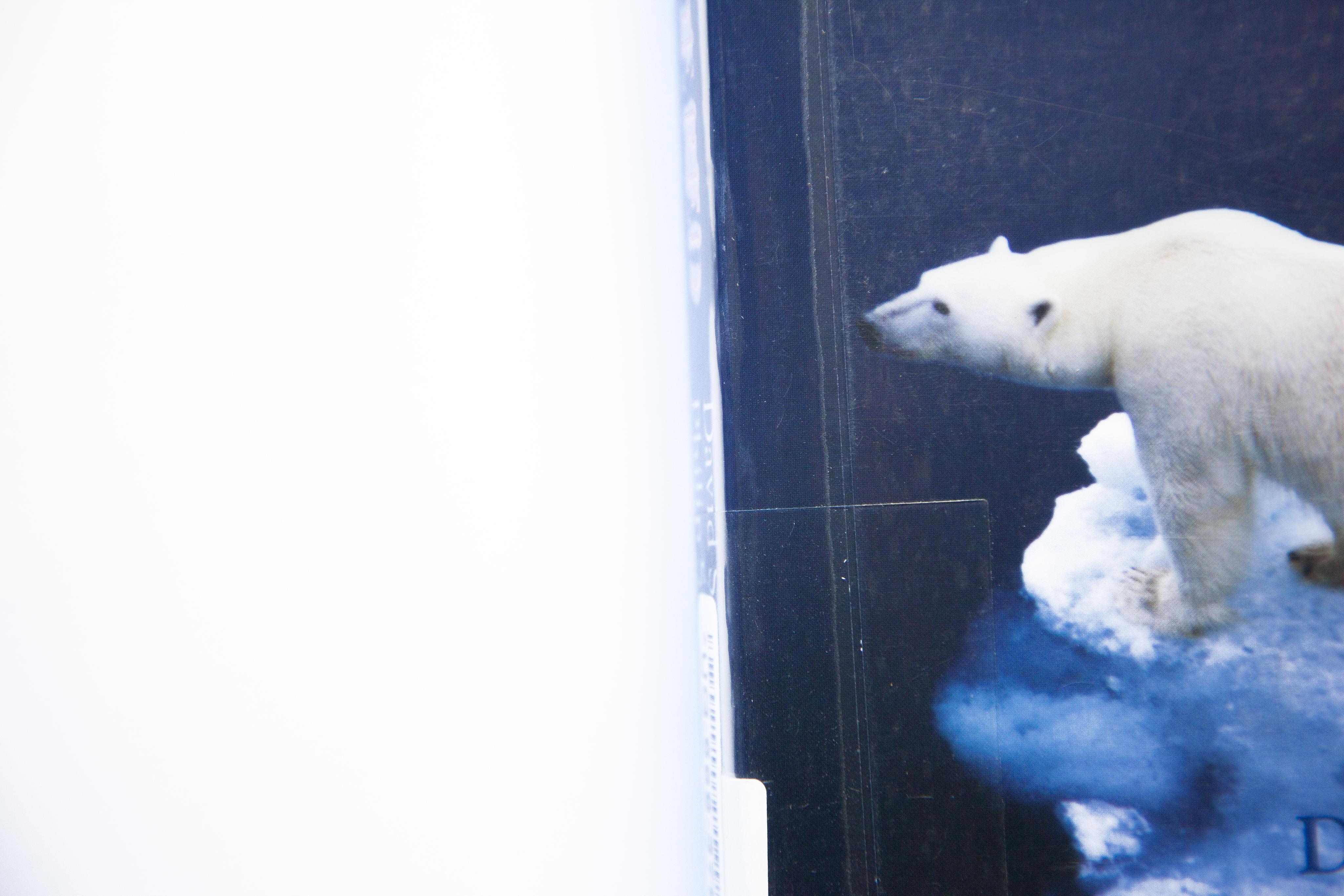 Climate Code Red: The Case for Emergency Action, 2009