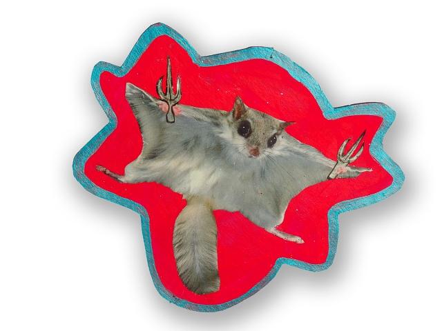 Rise UP! - Flying Squirrel with Sai Rise UP! - Flying Squirrel with Sai