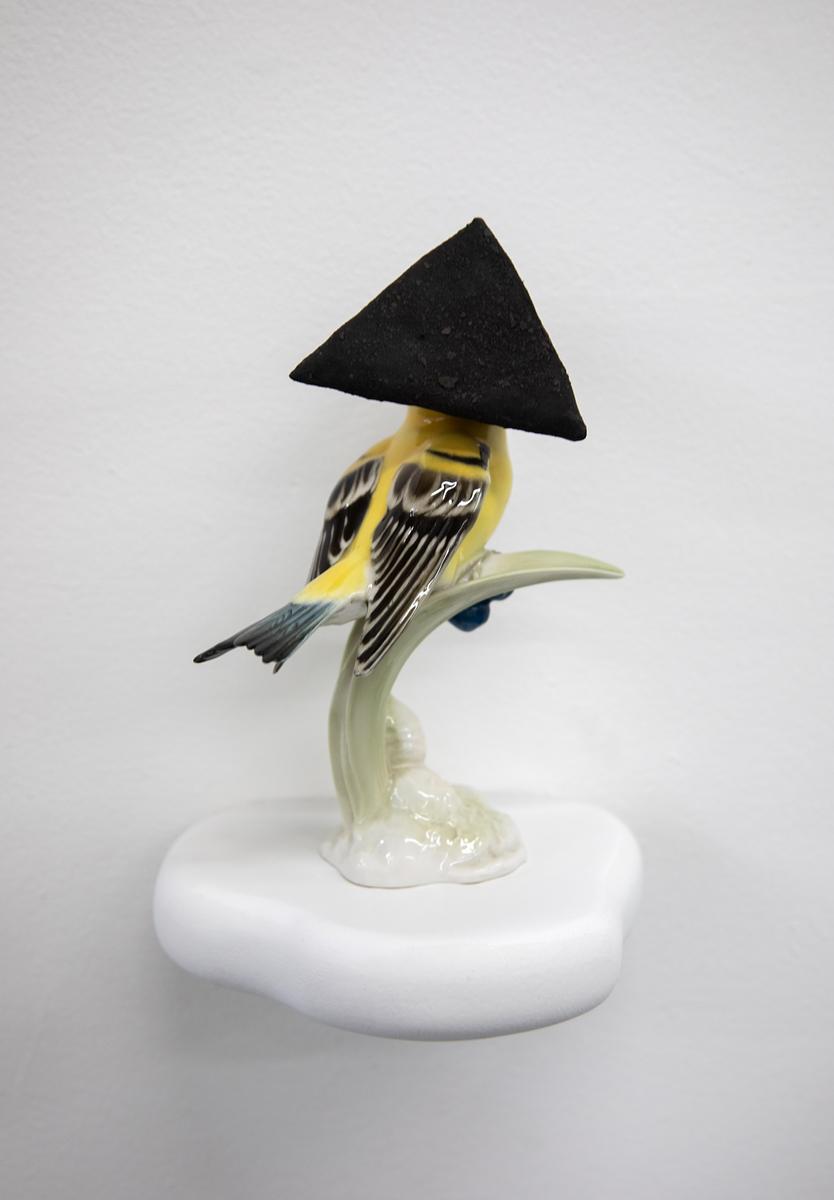 Camouflage LIII (Memorial for American Goldfinches II)