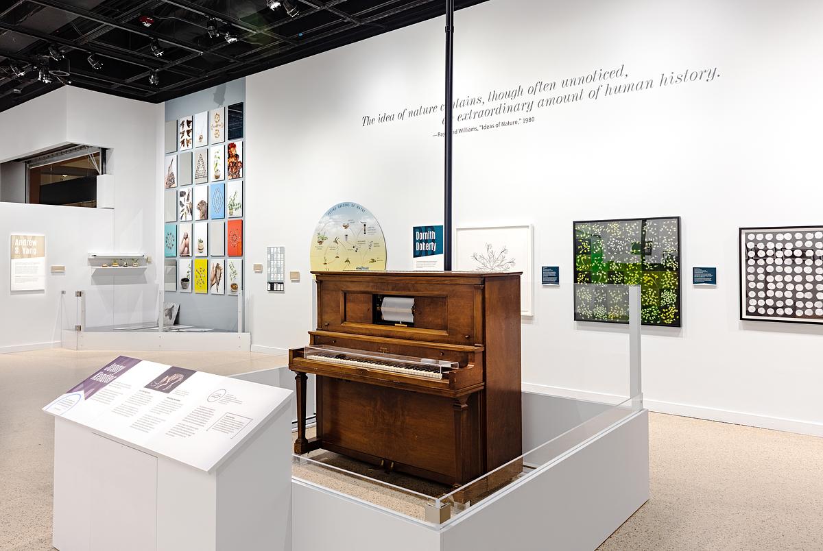 Music for Elephants at the Smithsonian National Museum of Natural History