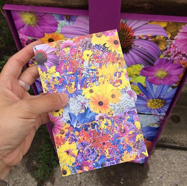 ReWilding New York: Community Seed Stations by @wanderlustsouldesign