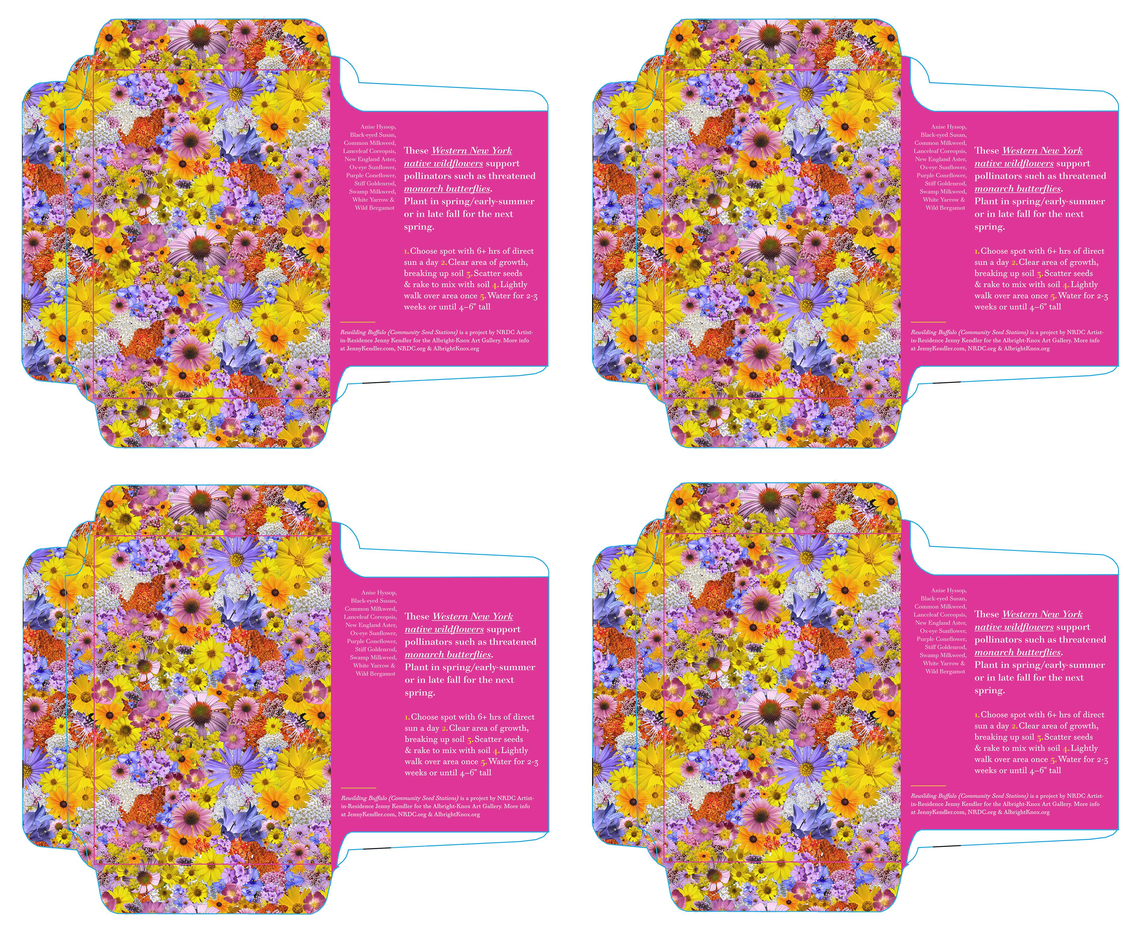 ReWilding New York (Community Seed Stations) Seed Packet Design