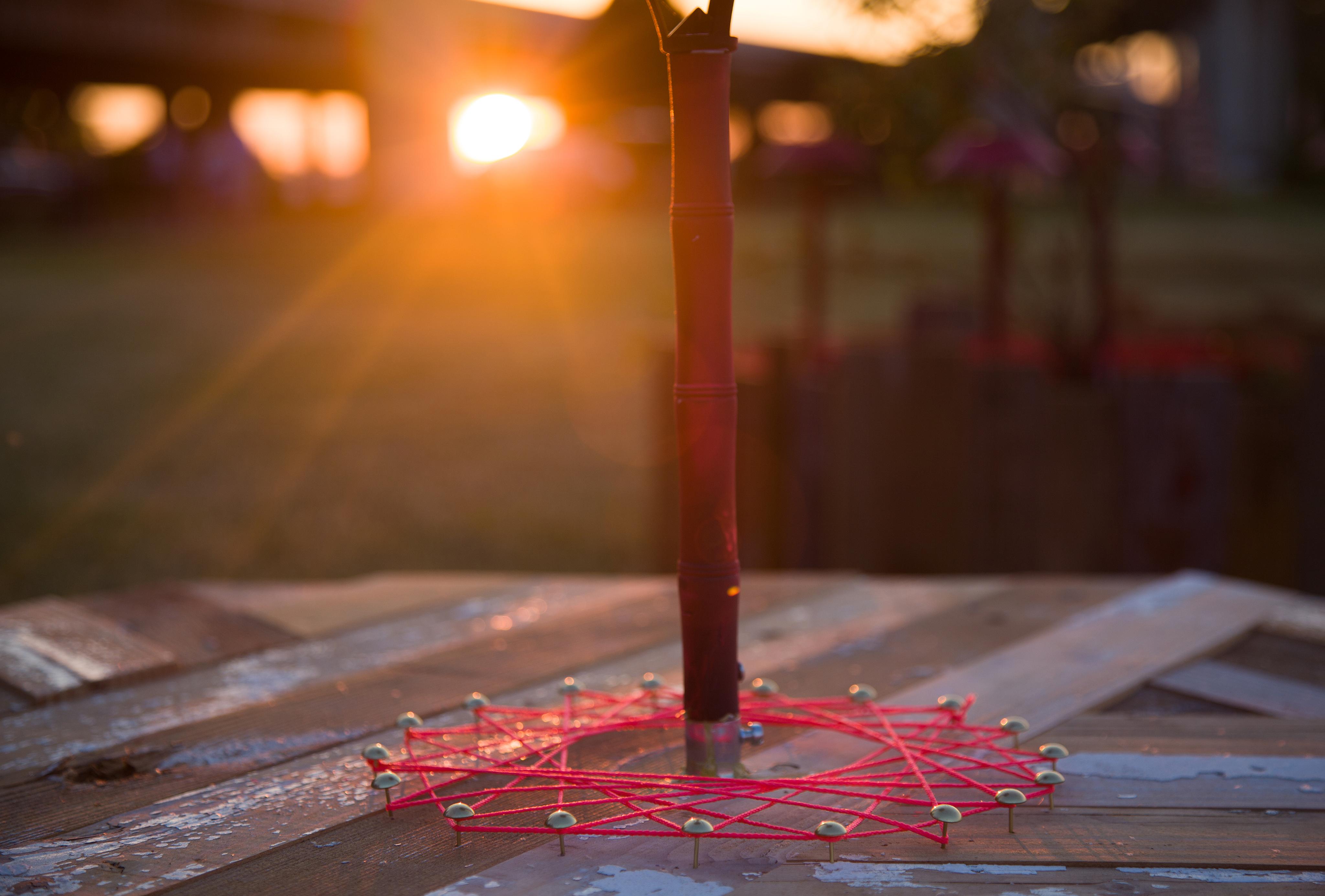 Field of Vision: A Garden for Others