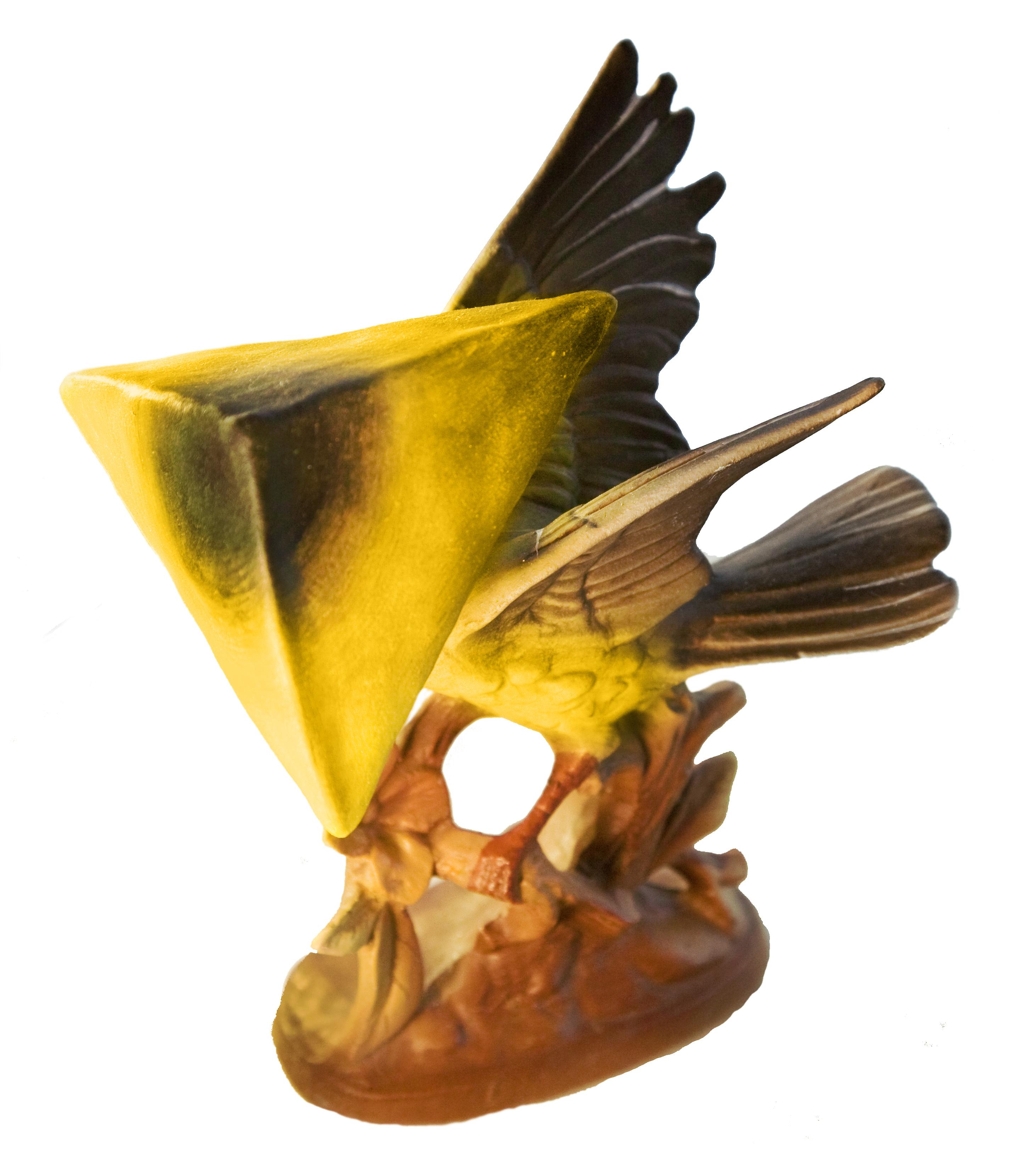 Camouflage II (Disguise for Endangered Bird)