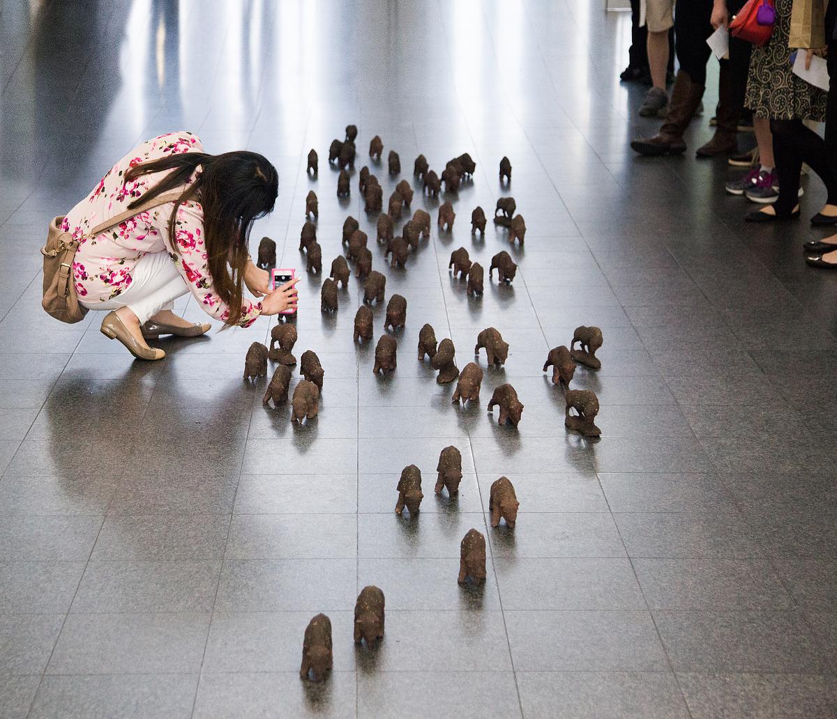 Herd Not Seen at the MCA Chicago