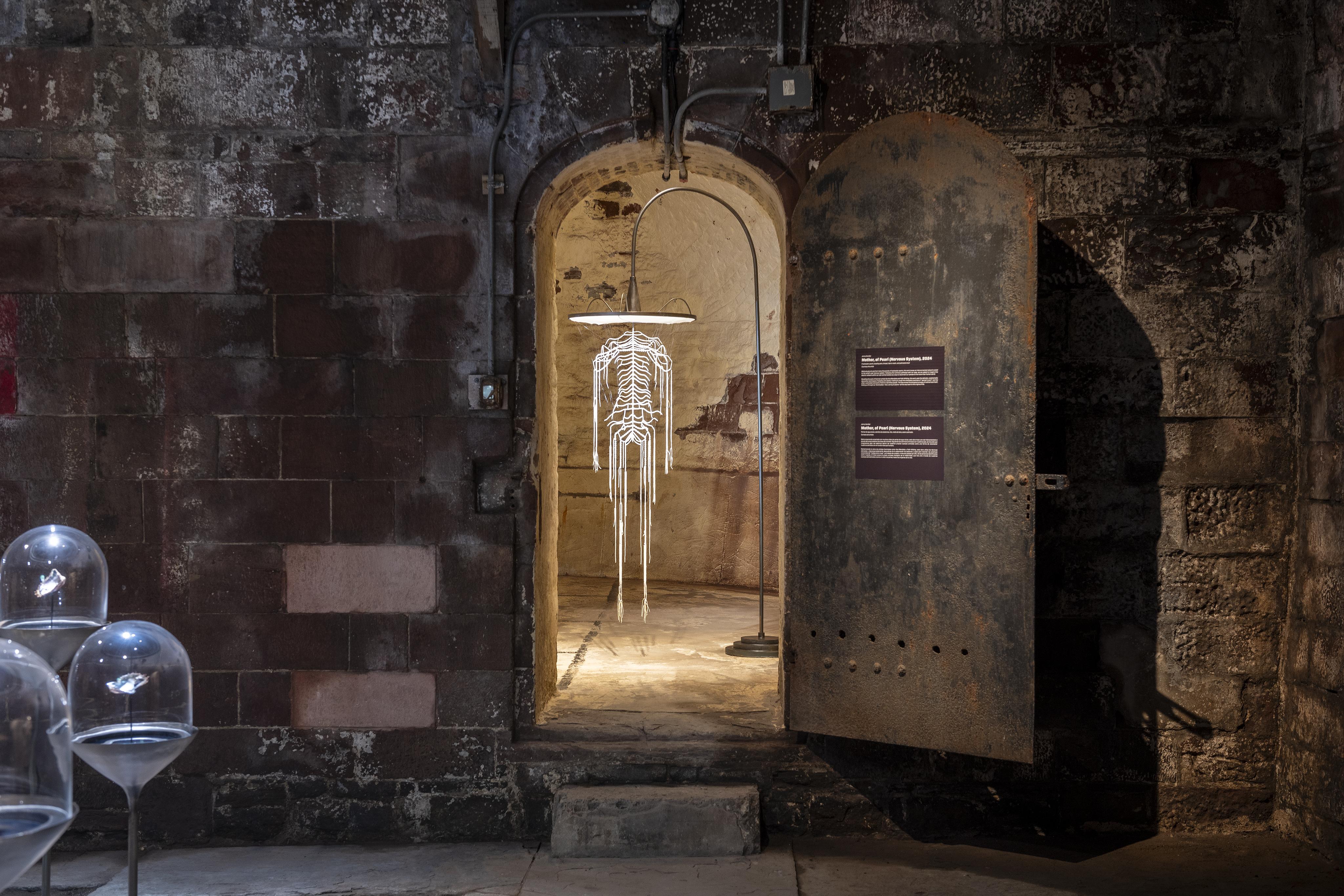 Other of Pearl, Exhibition View