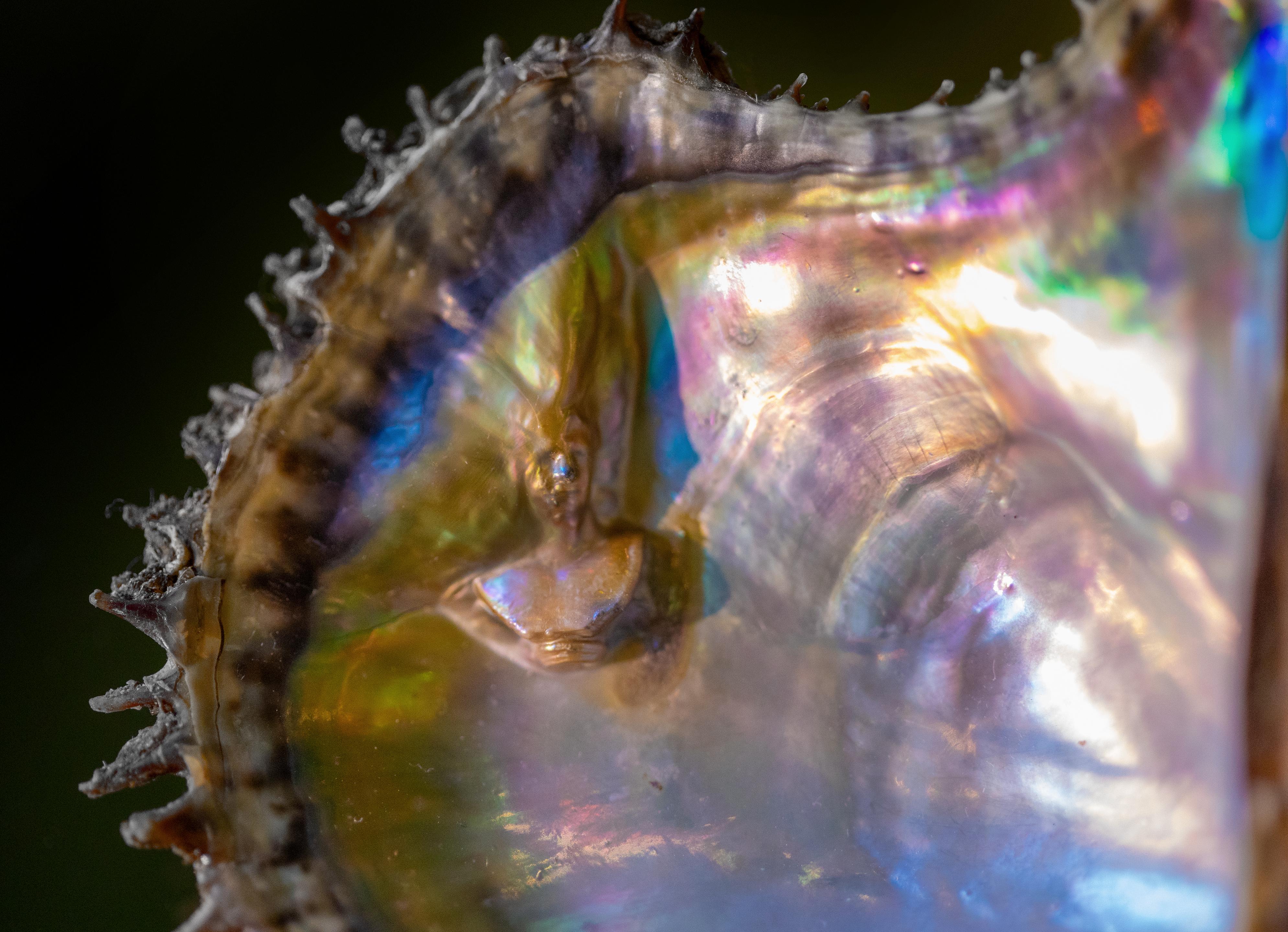 Detail from Other of Pearl (The Hero Meleager II)