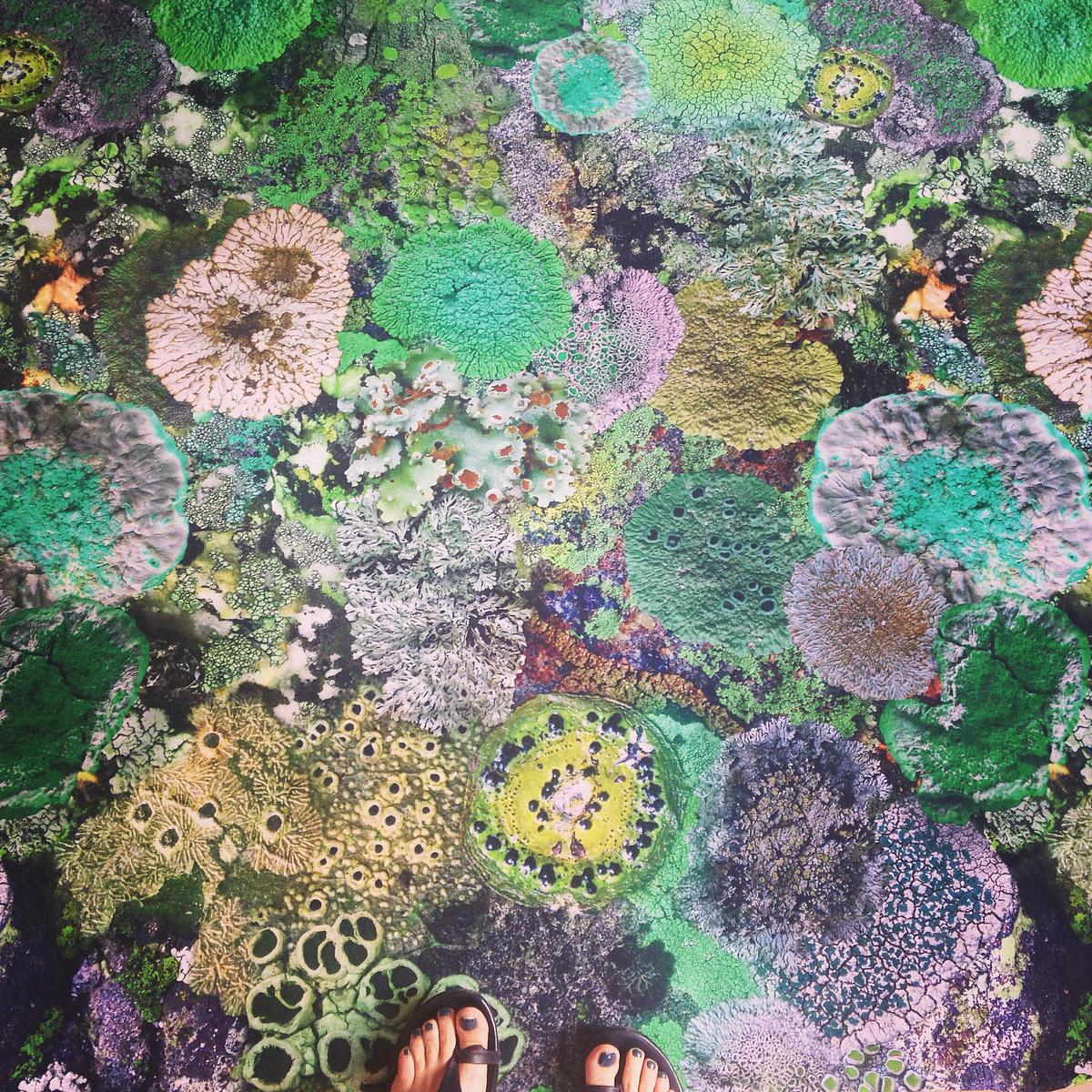 Natural Camouflage Lichen Fabric