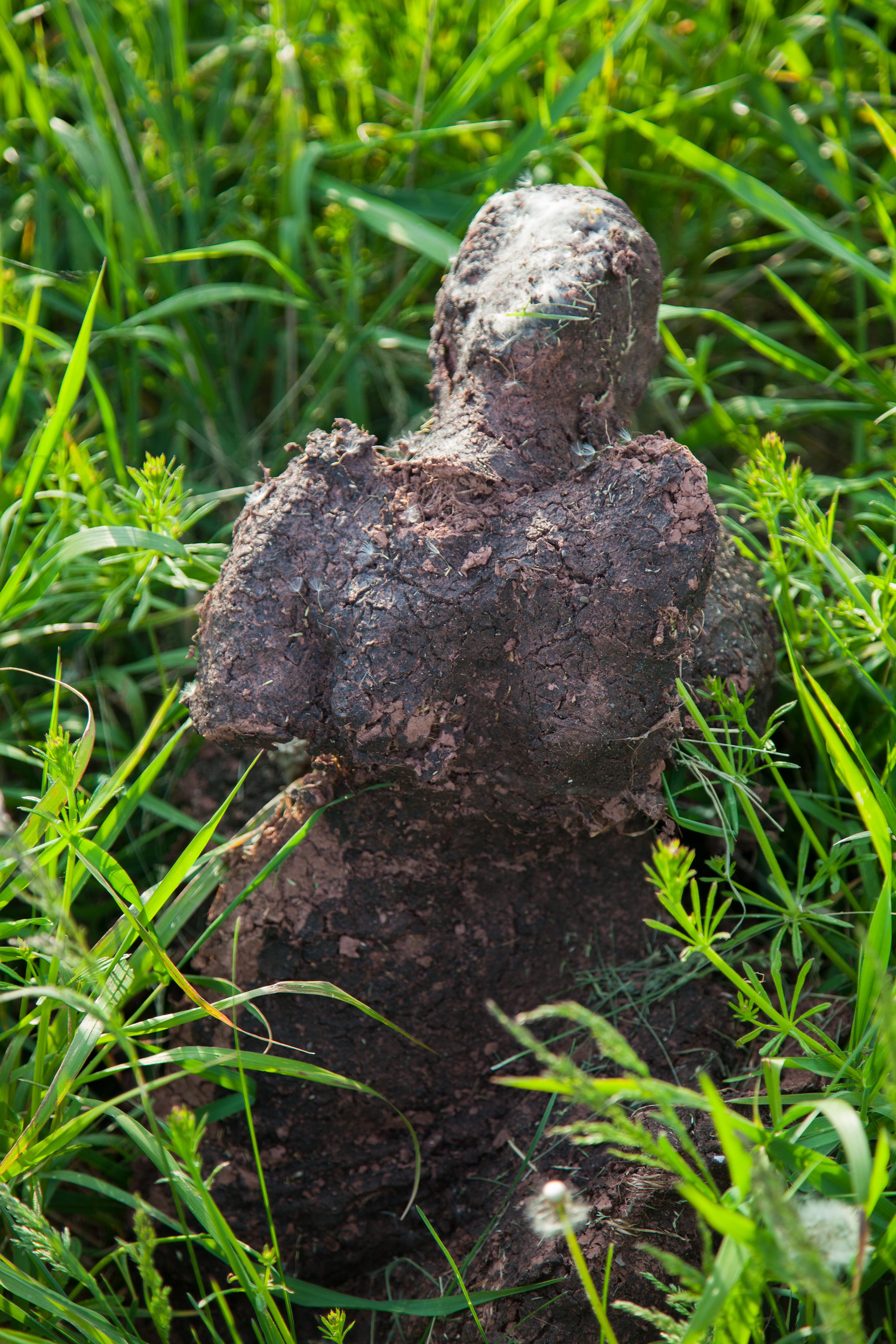 Sculpture--->Garden (Venus V) 
