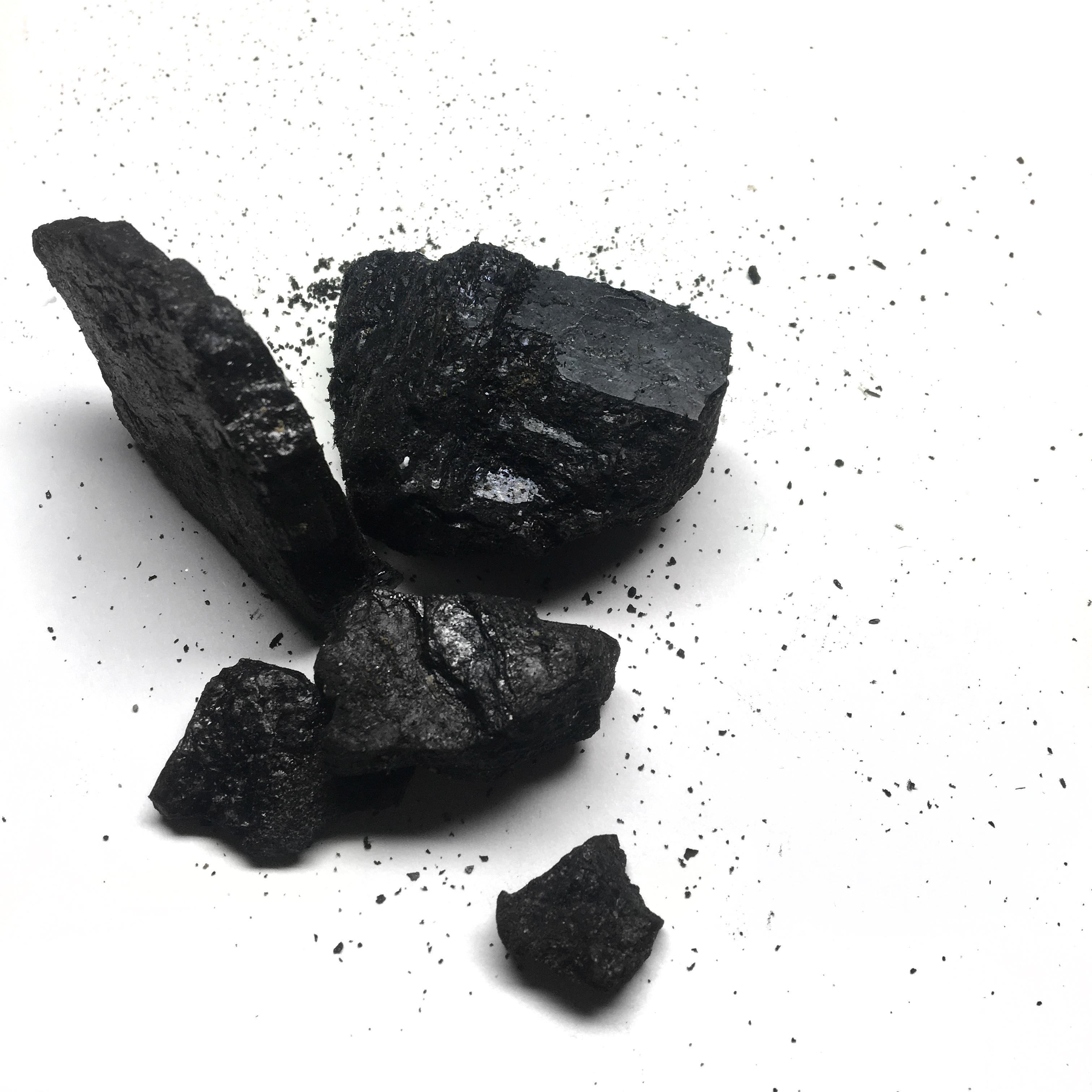 The exact weight in coal, from a former family member's mine, of the Bramble Cay Melomys (Melomys rubicola)the first species to officially be declared extinct due to climate change