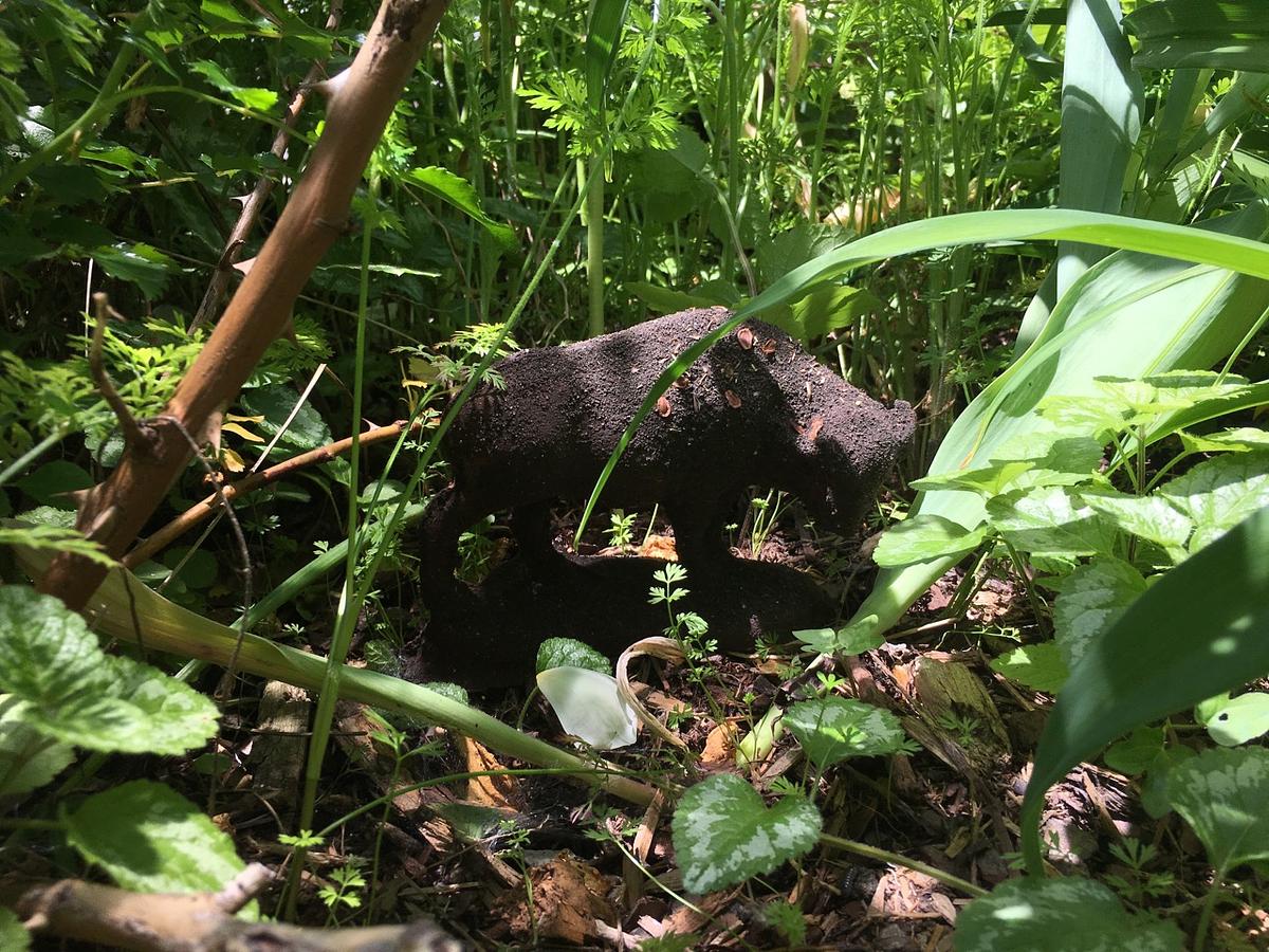 Adopted biodegradable bison placed in a parkway by Alice Hargrave